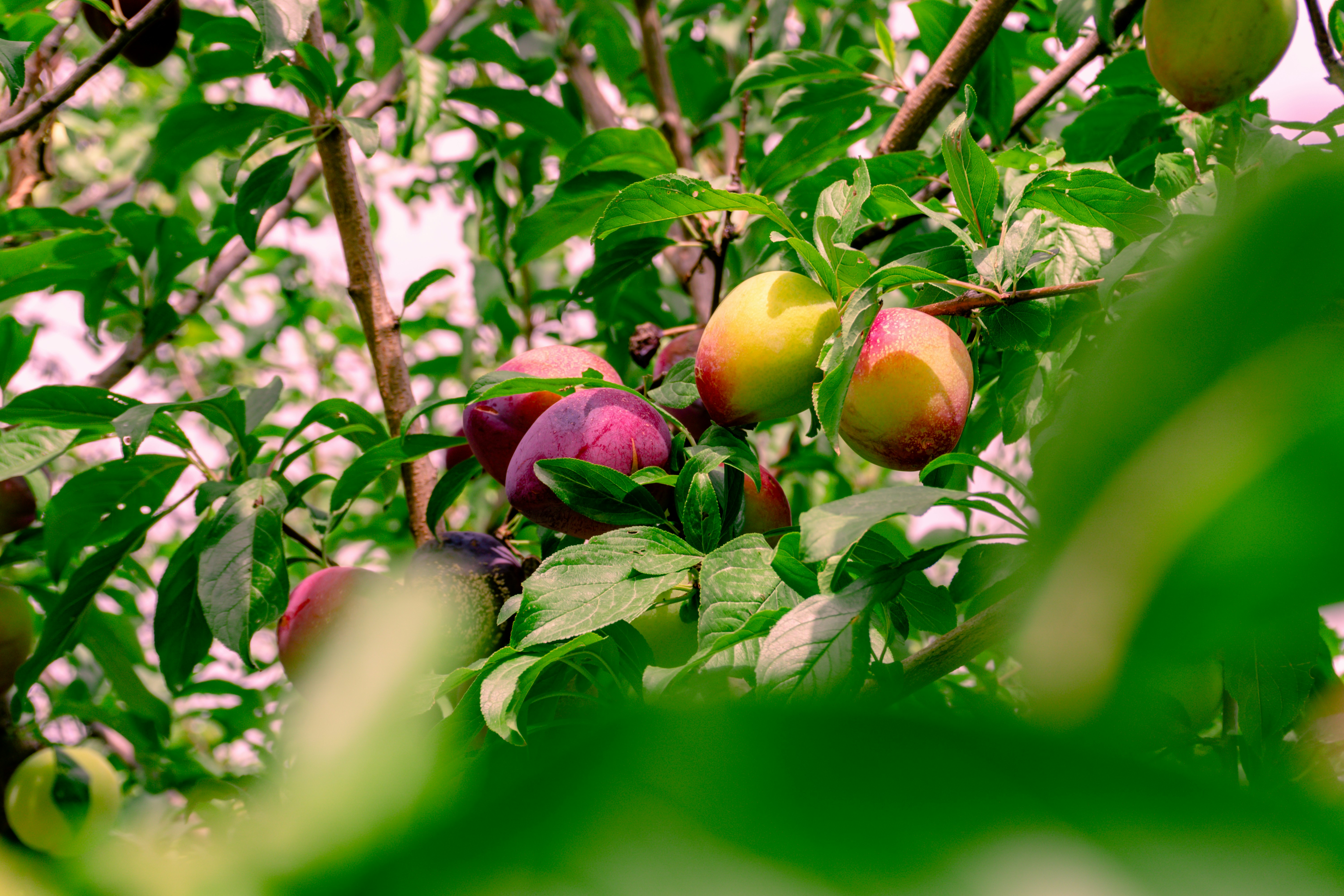 Photo by zulfugarkarimov