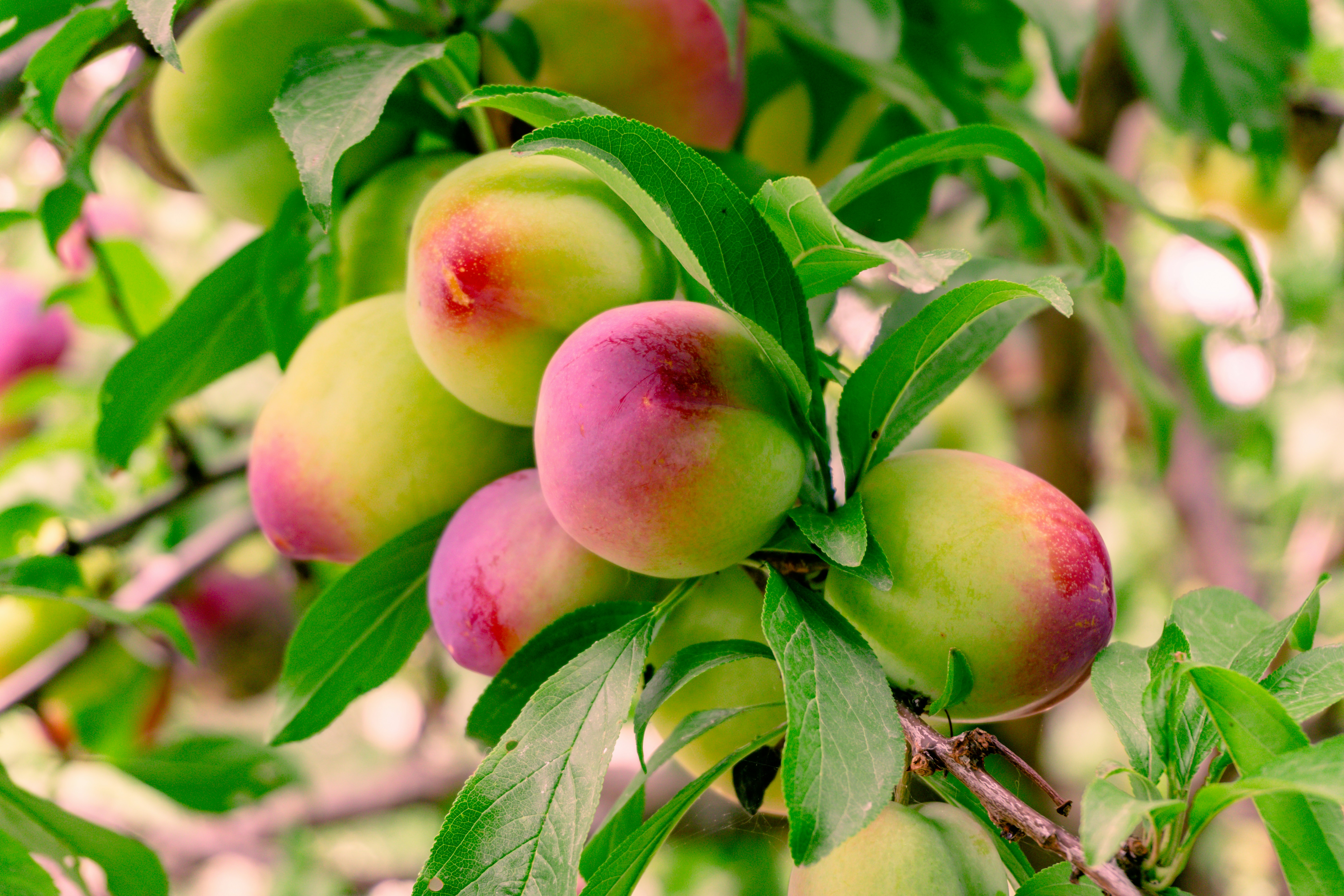 Photo by zulfugarkarimov