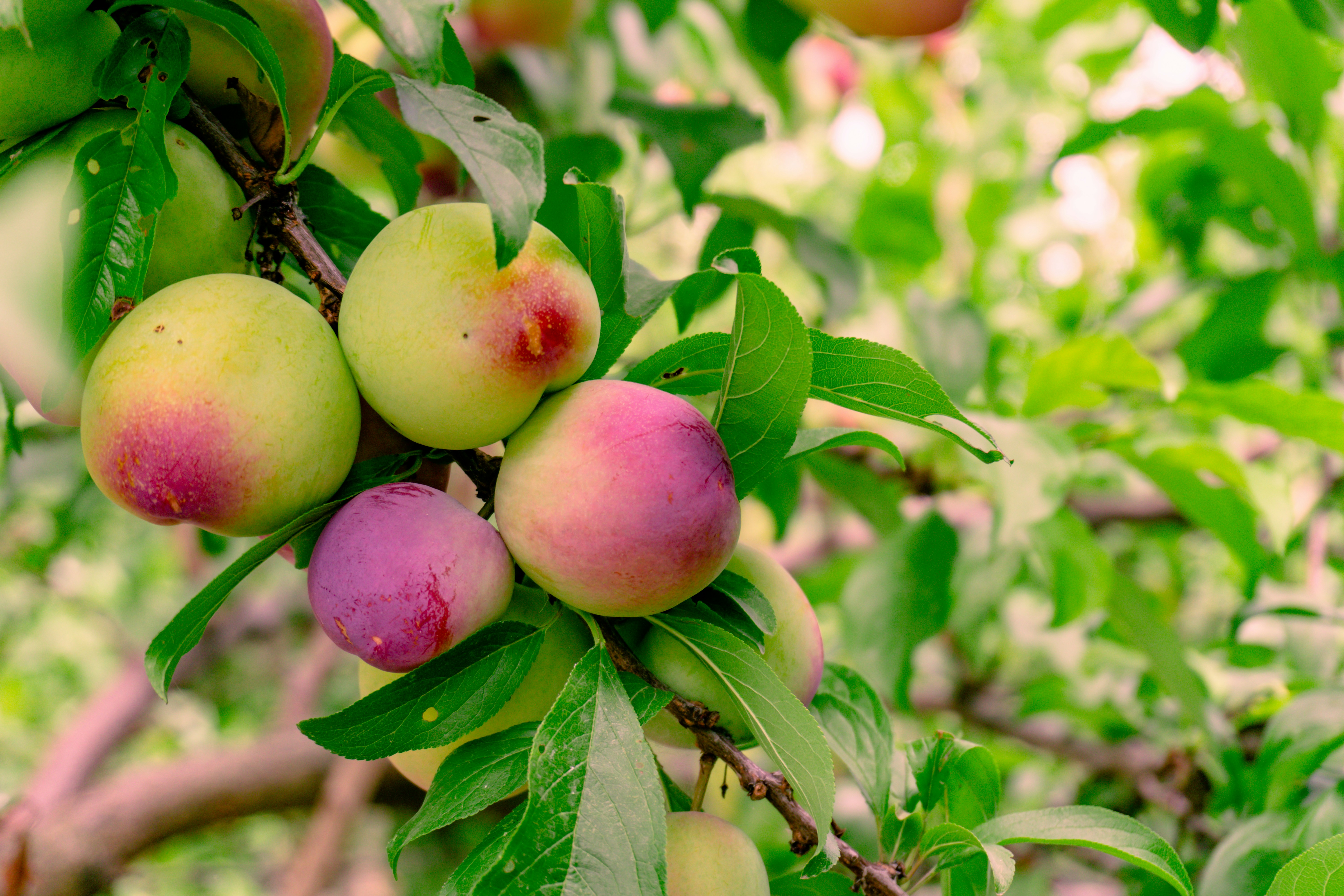 Photo by zulfugarkarimov