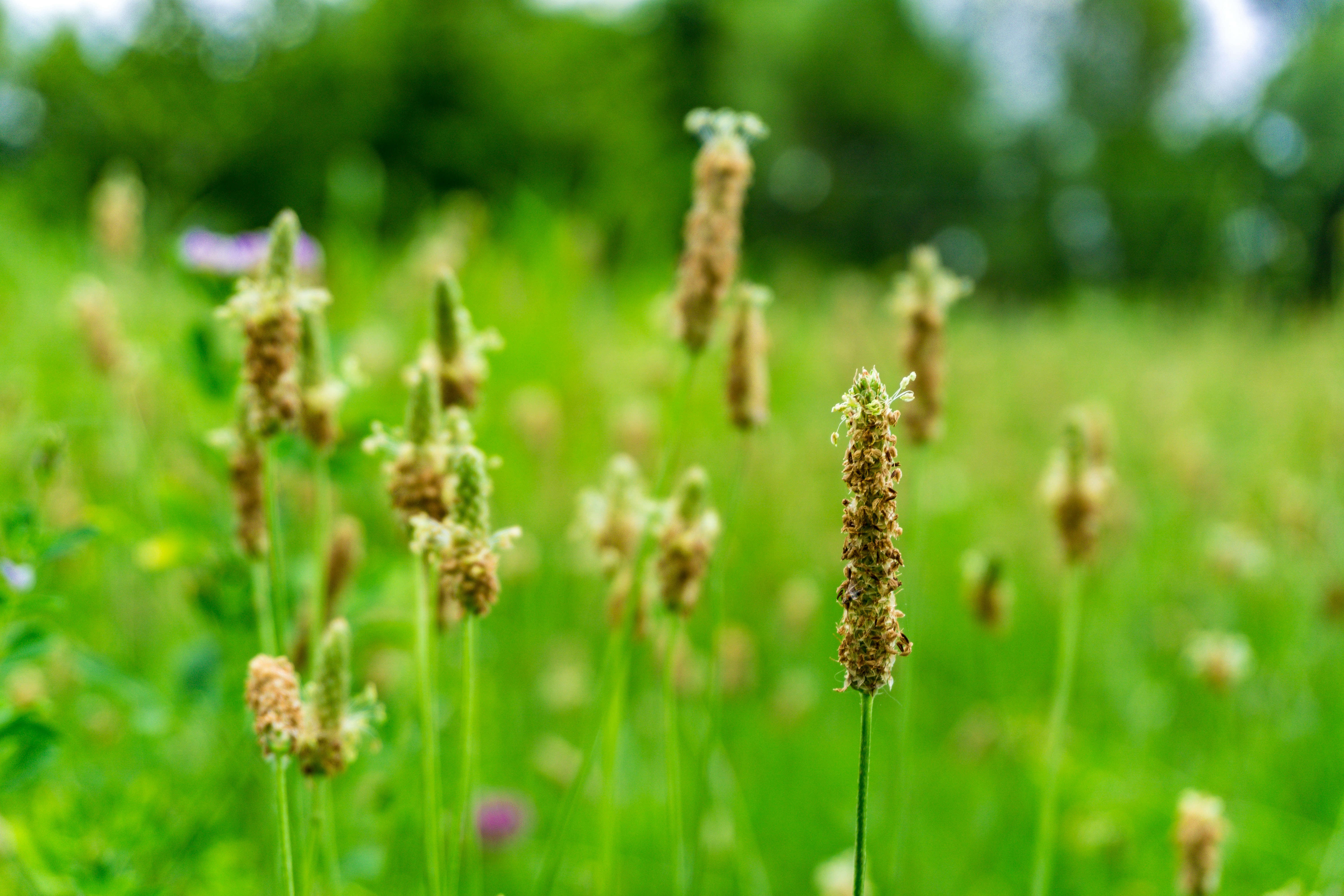 Photo by zulfugarkarimov