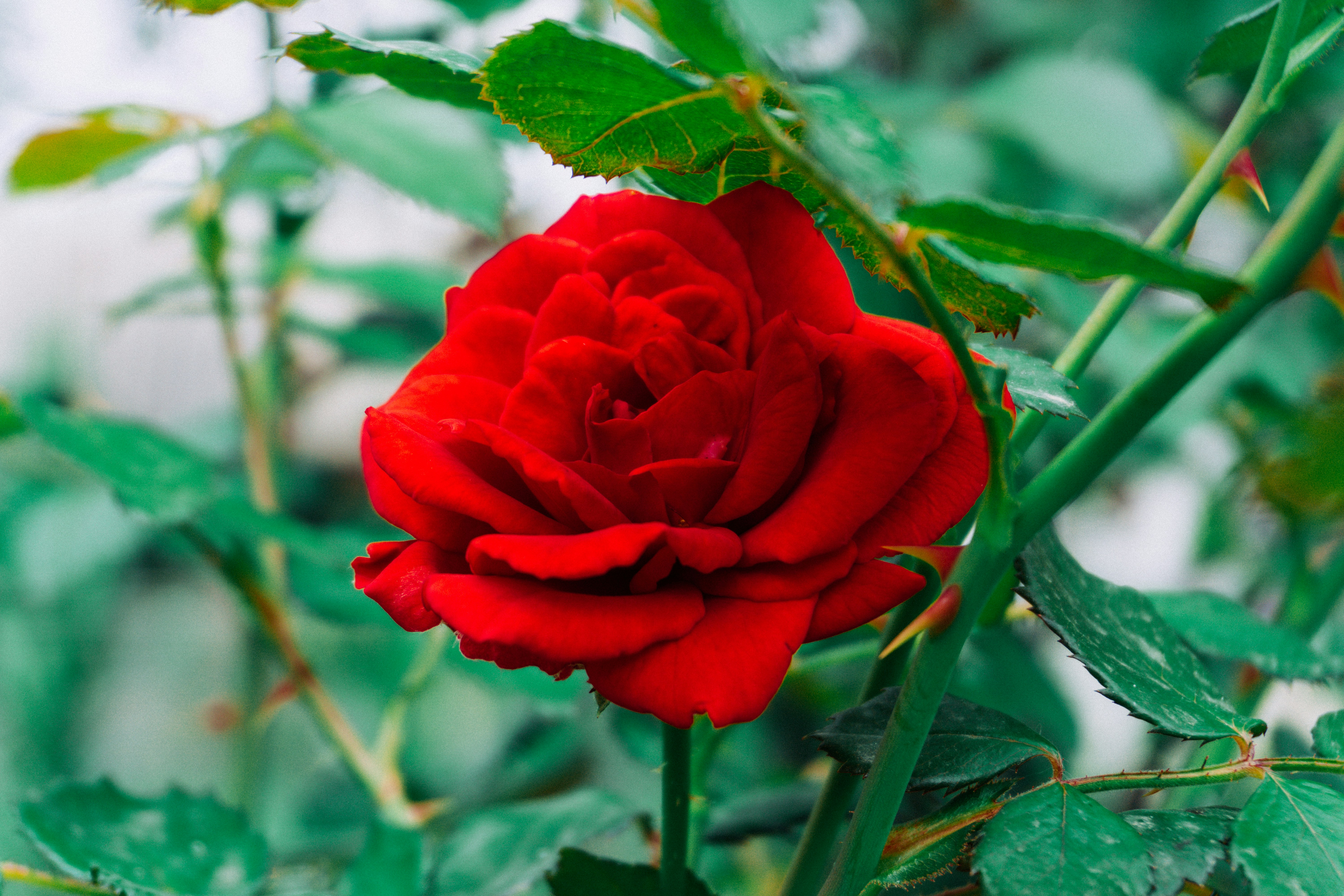 Photo by zulfugarkarimov