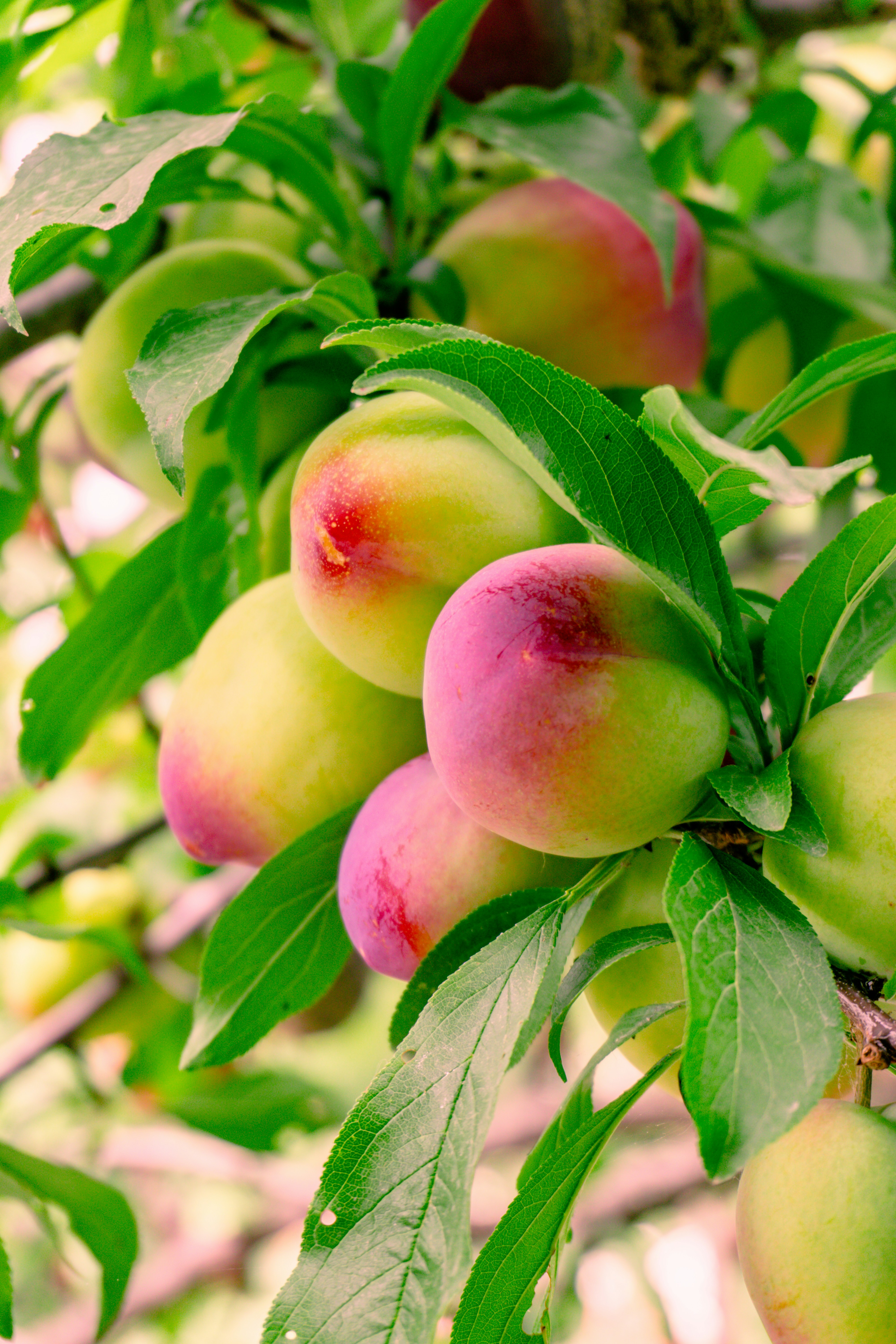 Photo by zulfugarkarimov