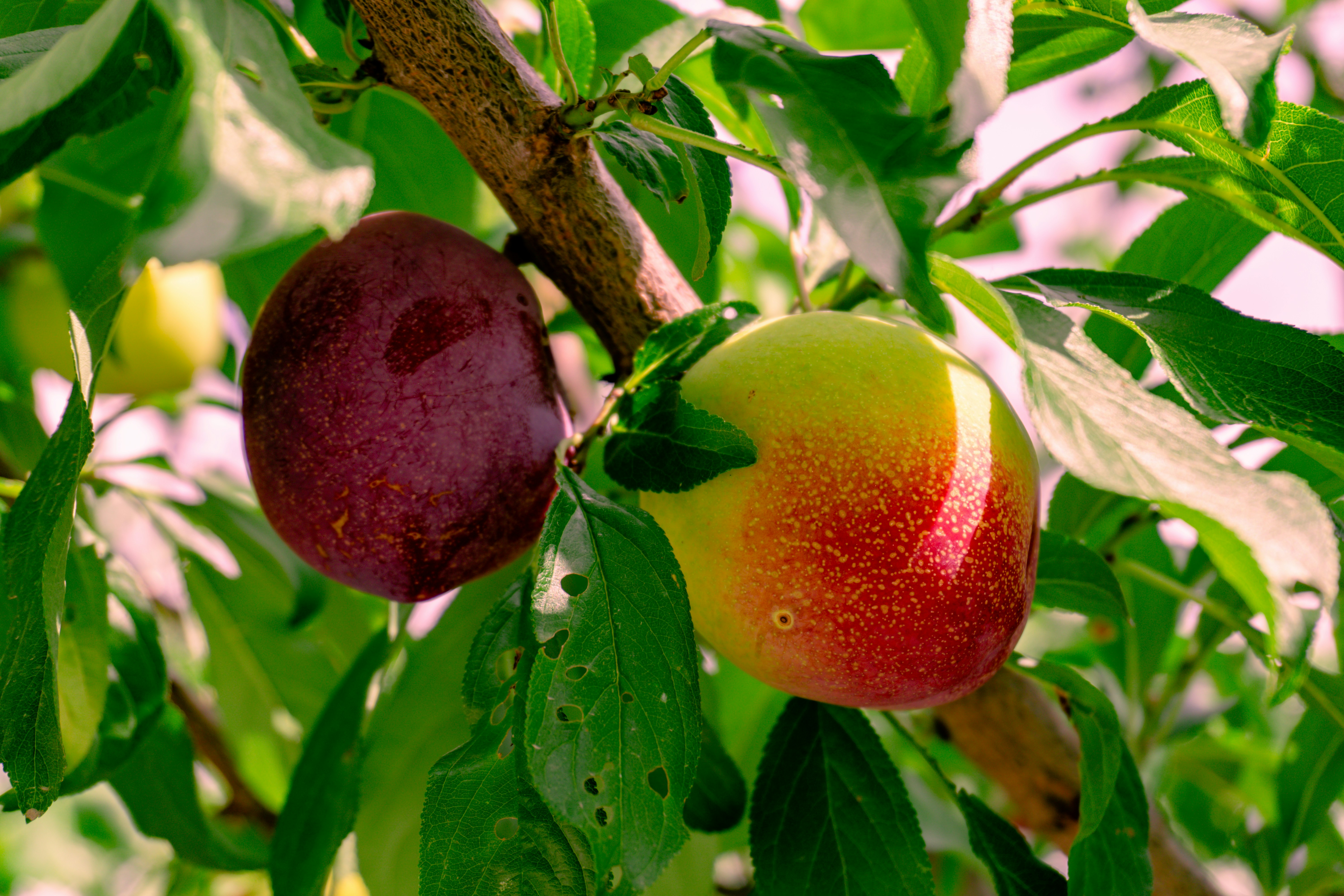 Photo by zulfugarkarimov