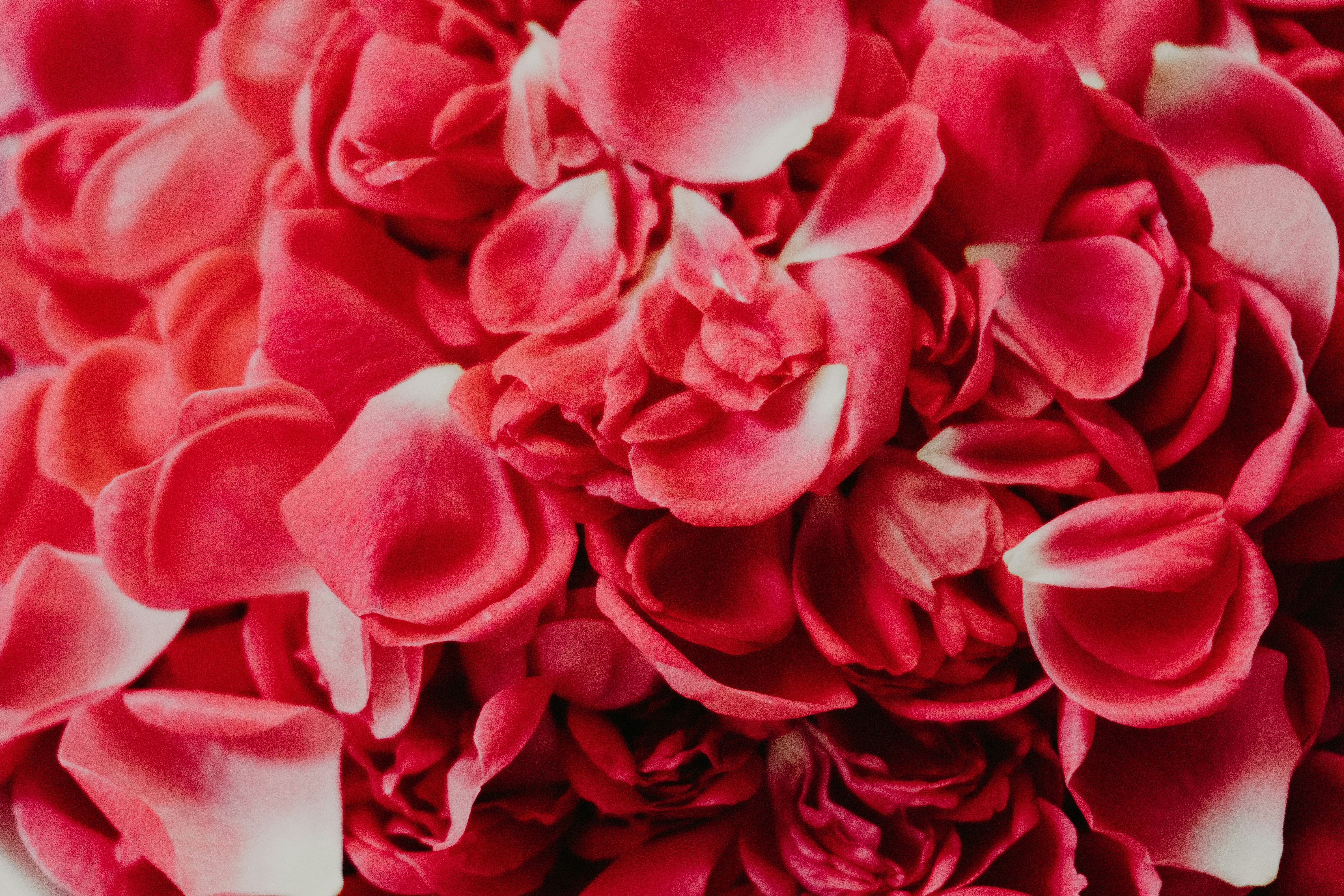 Photo by zulfugarkarimov