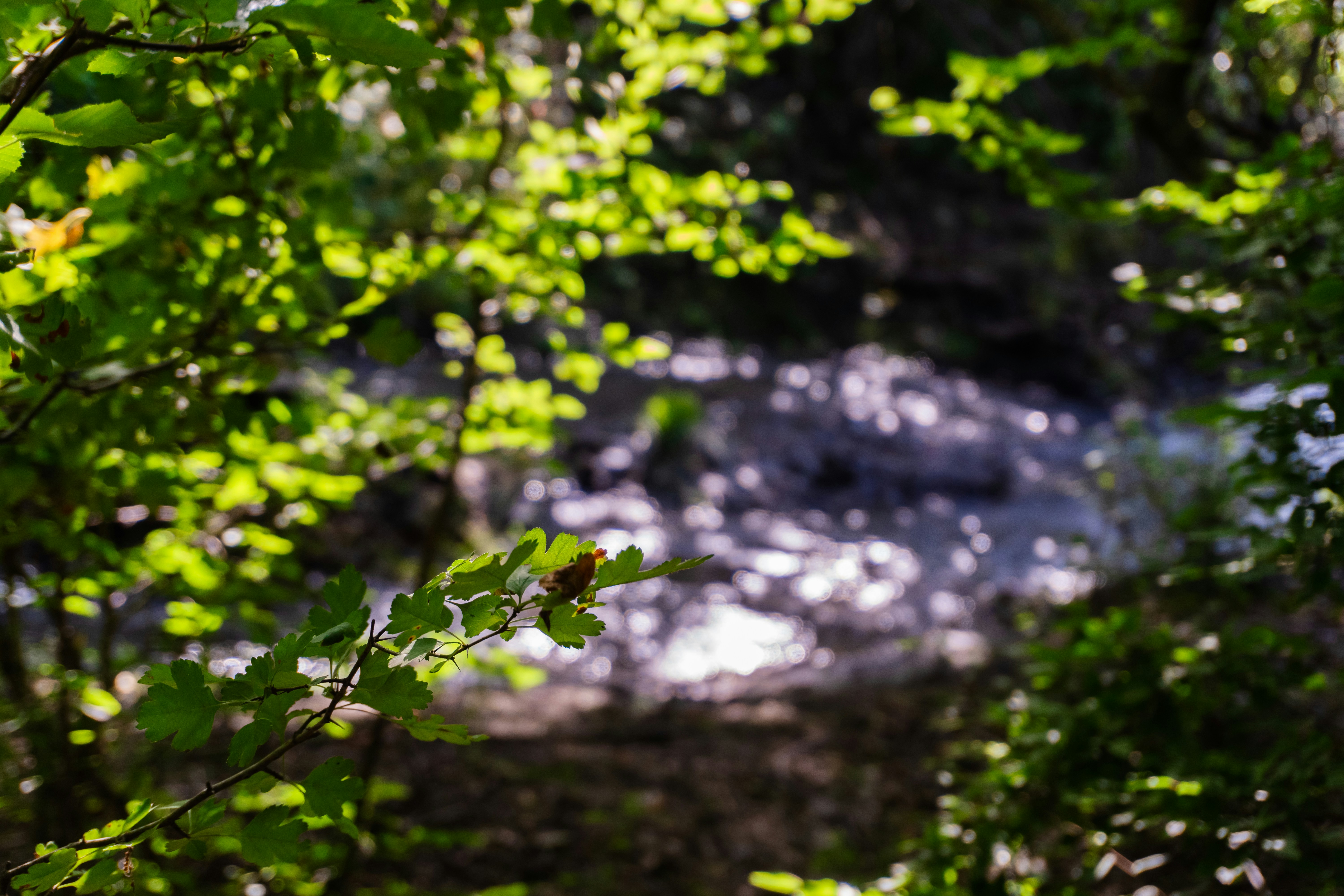 Photo by zulfugarkarimov