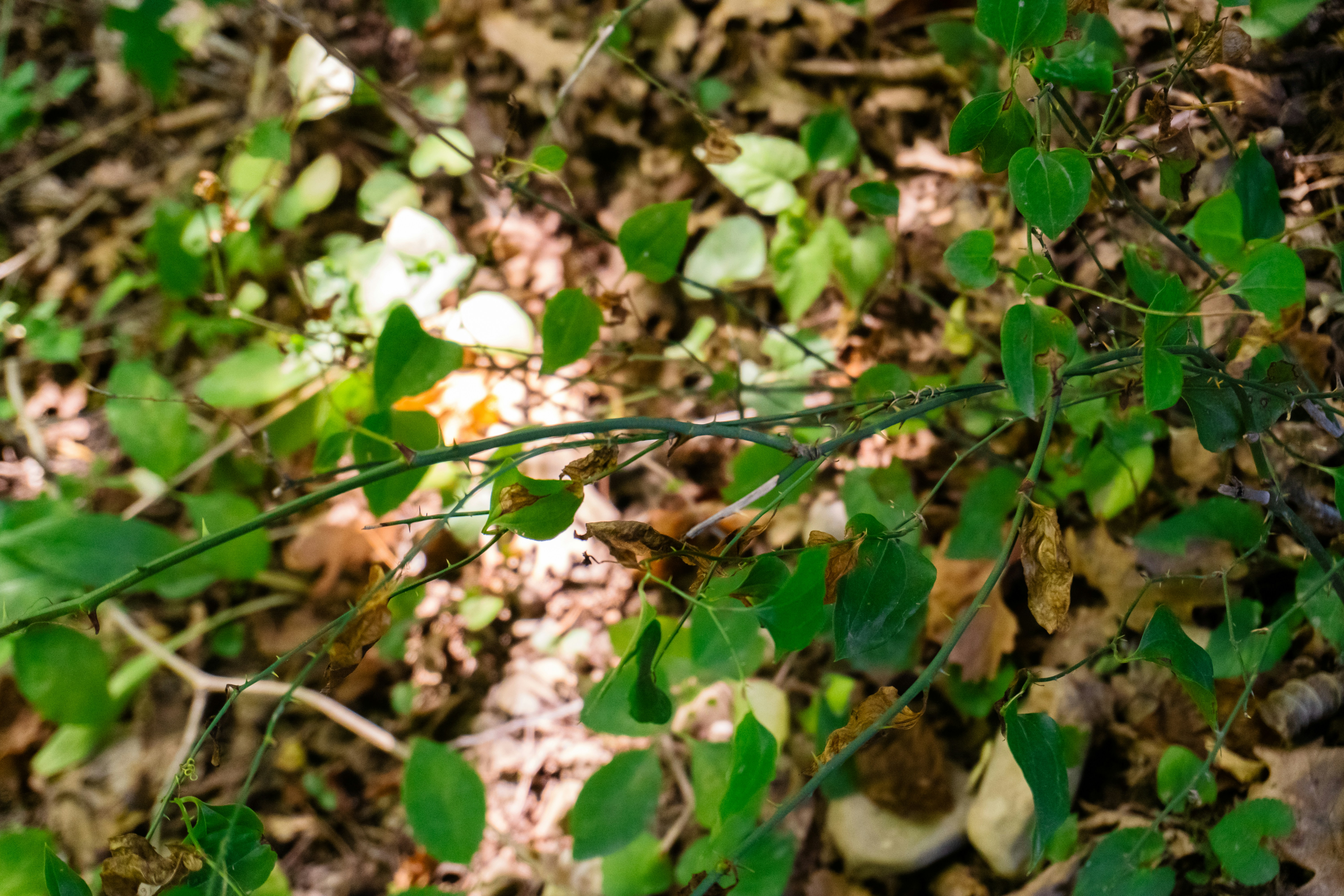 Photo by zulfugarkarimov