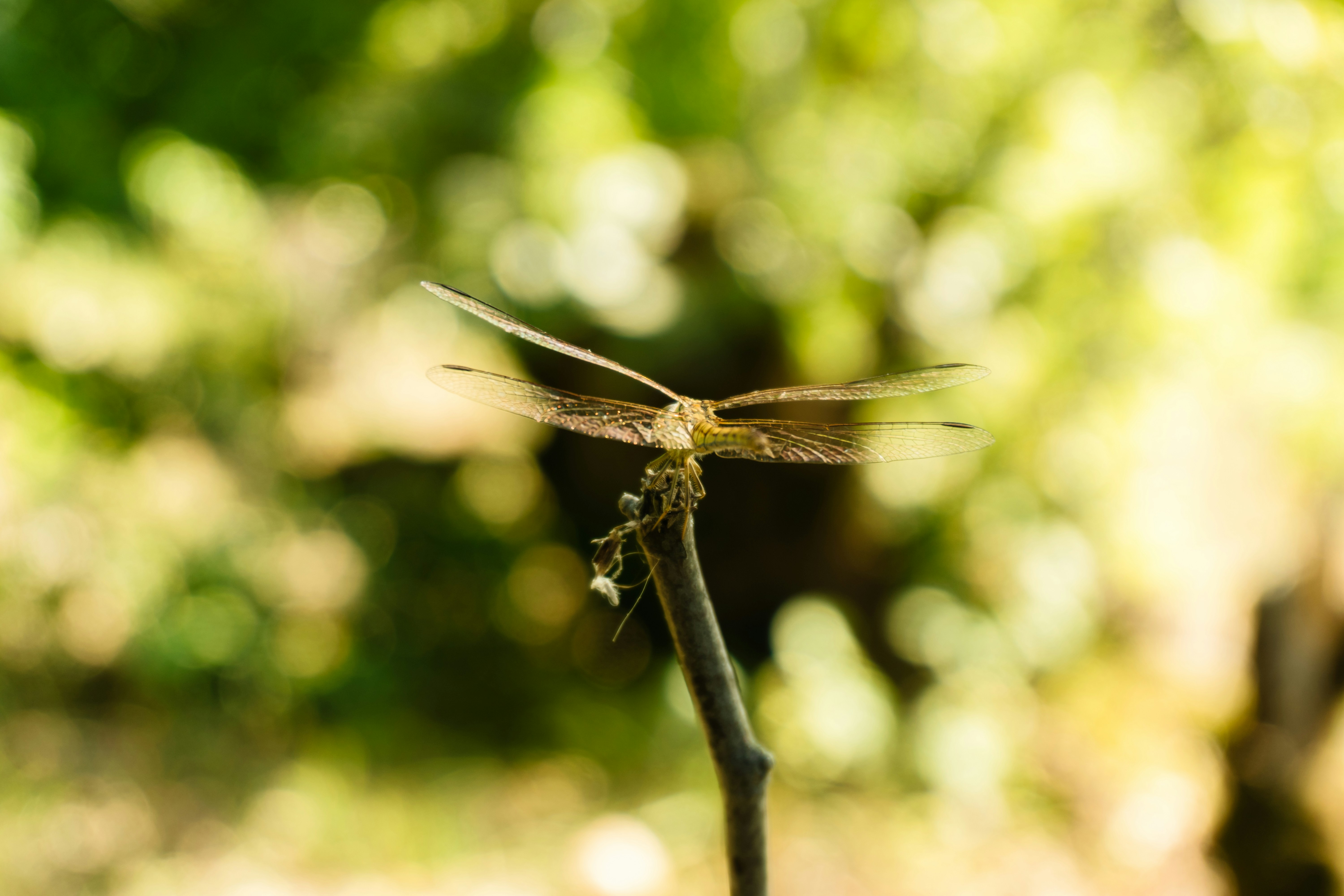 Photo by zulfugarkarimov