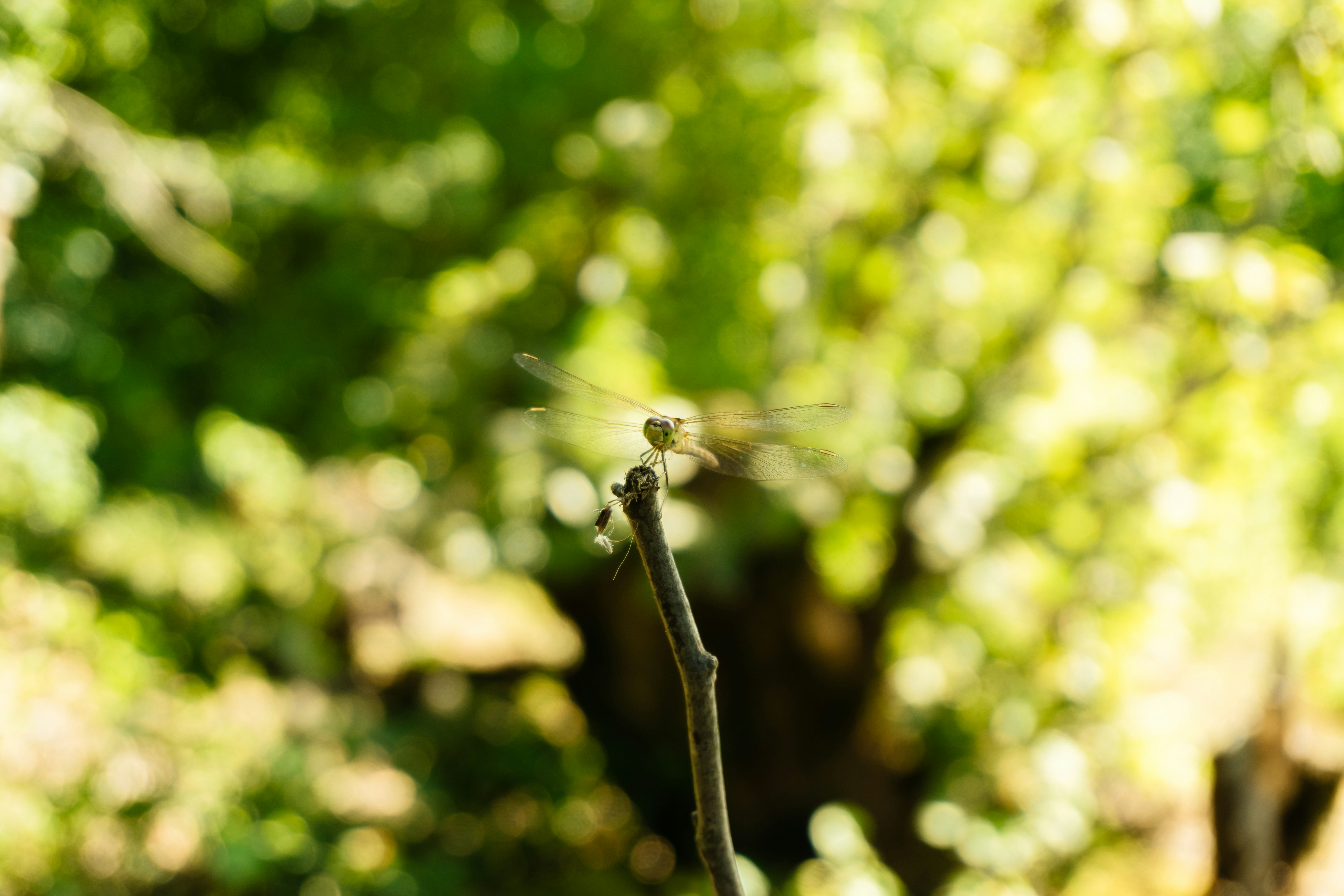 Photo by zulfugarkarimov