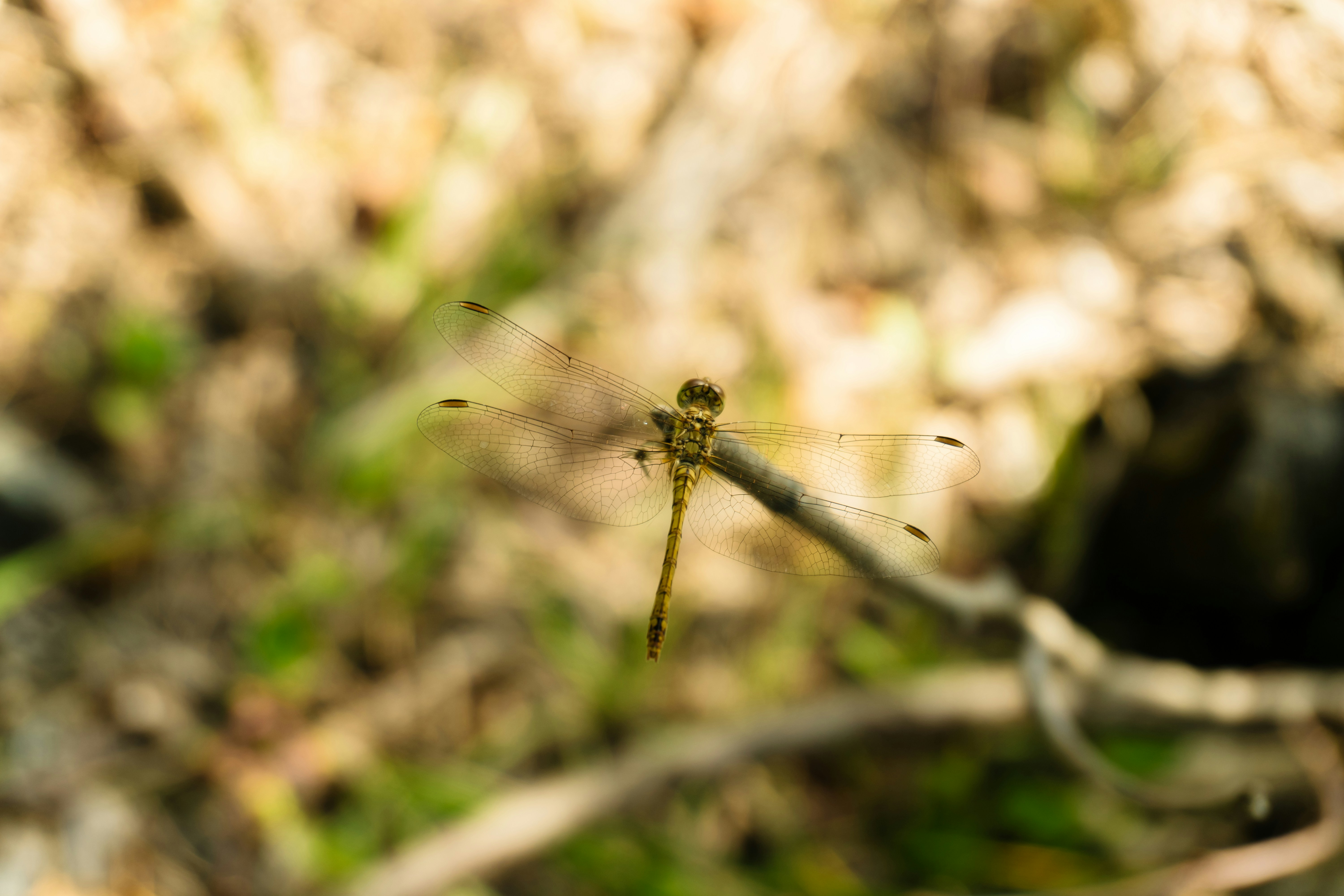 Photo by zulfugarkarimov