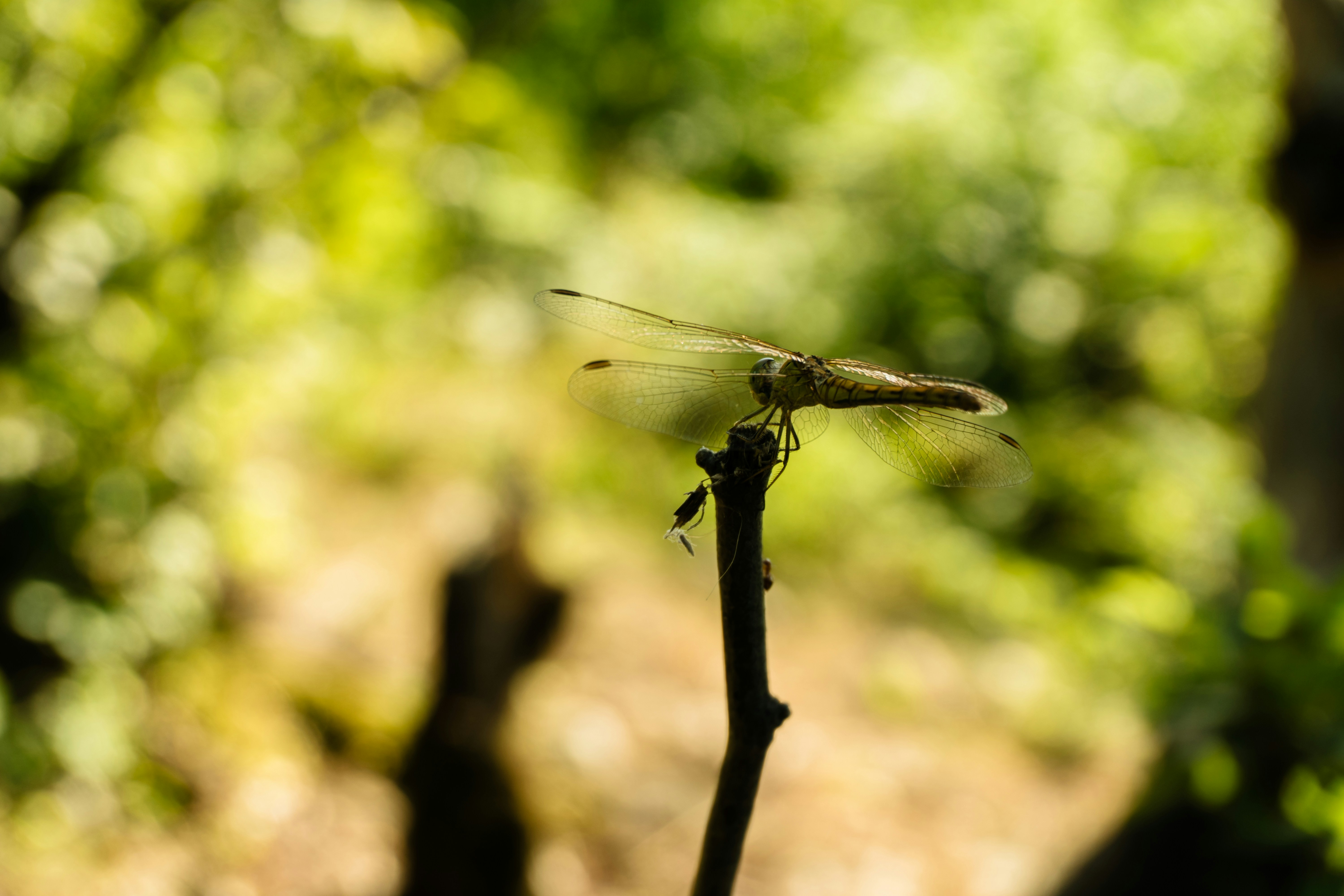 Photo by zulfugarkarimov