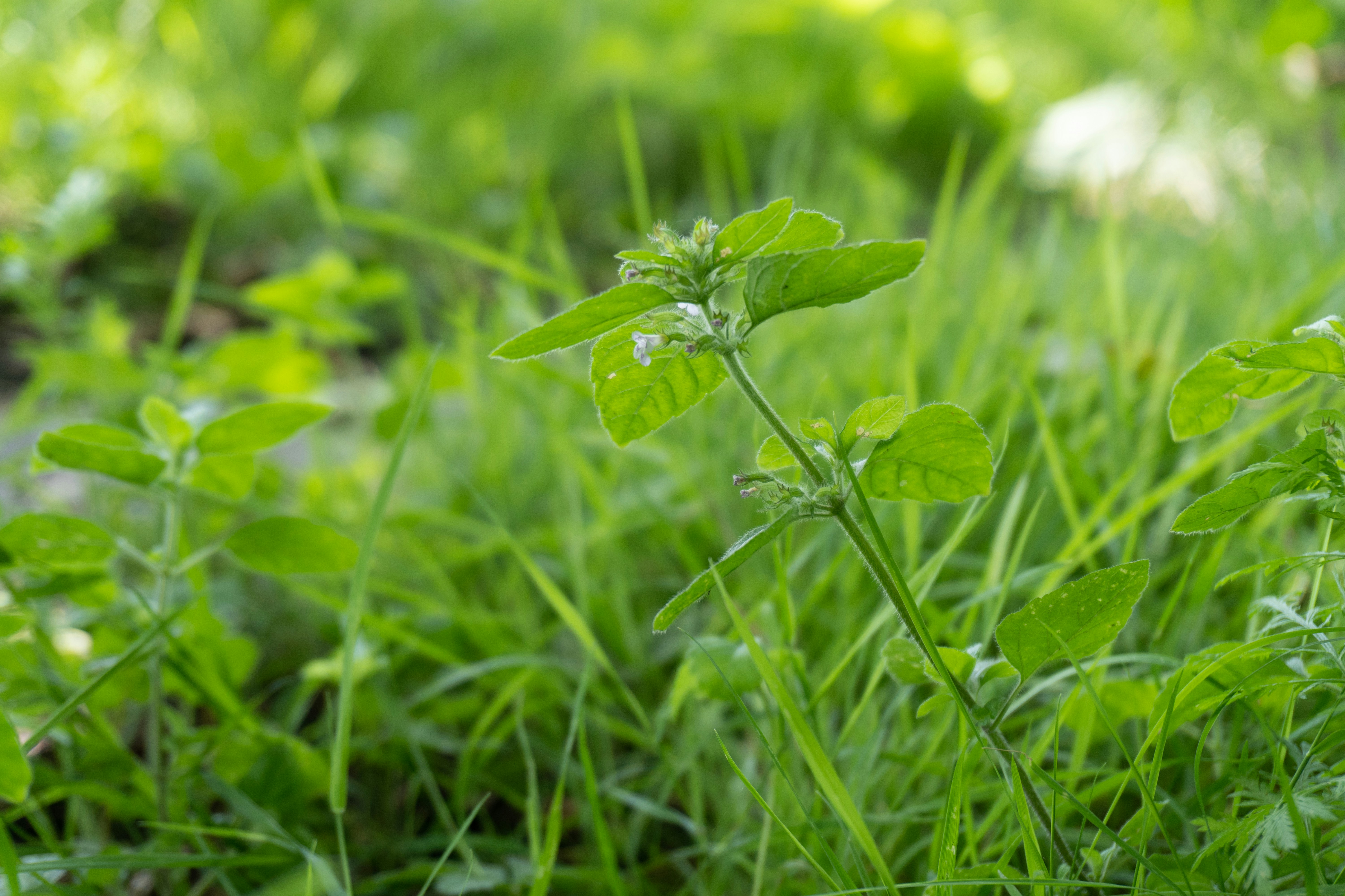 Photo by zulfugarkarimov