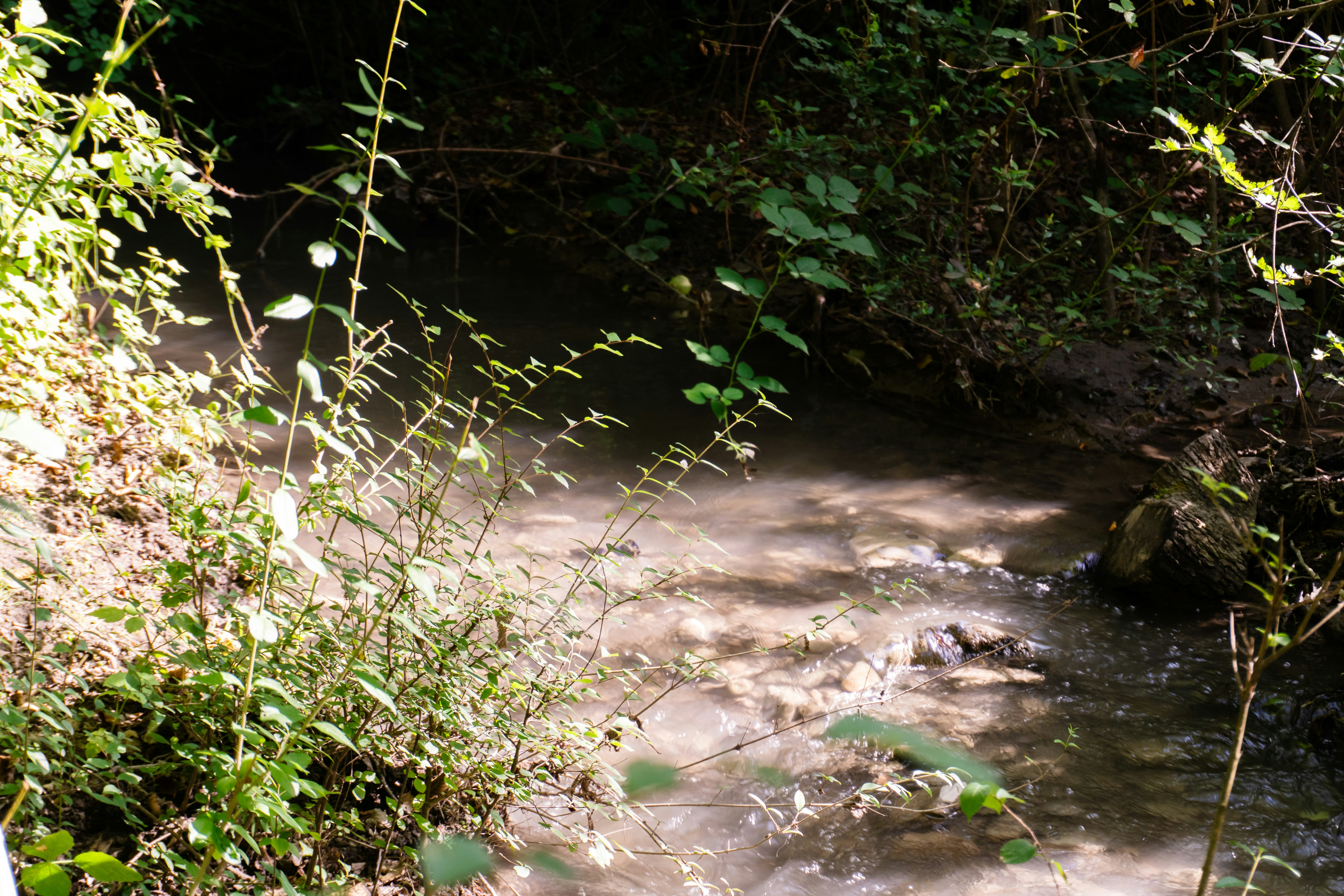 Photo by zulfugarkarimov