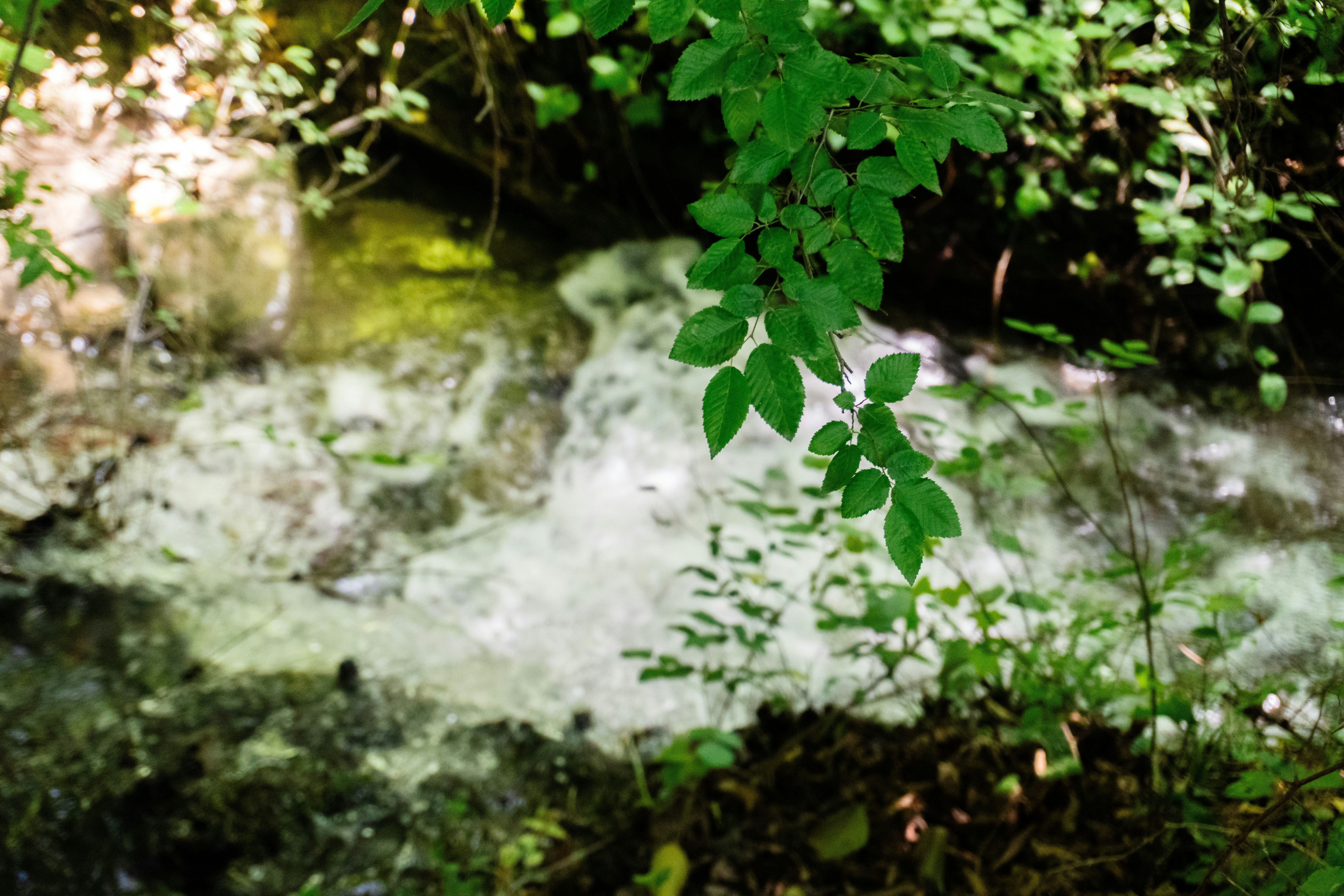 Photo by zulfugarkarimov