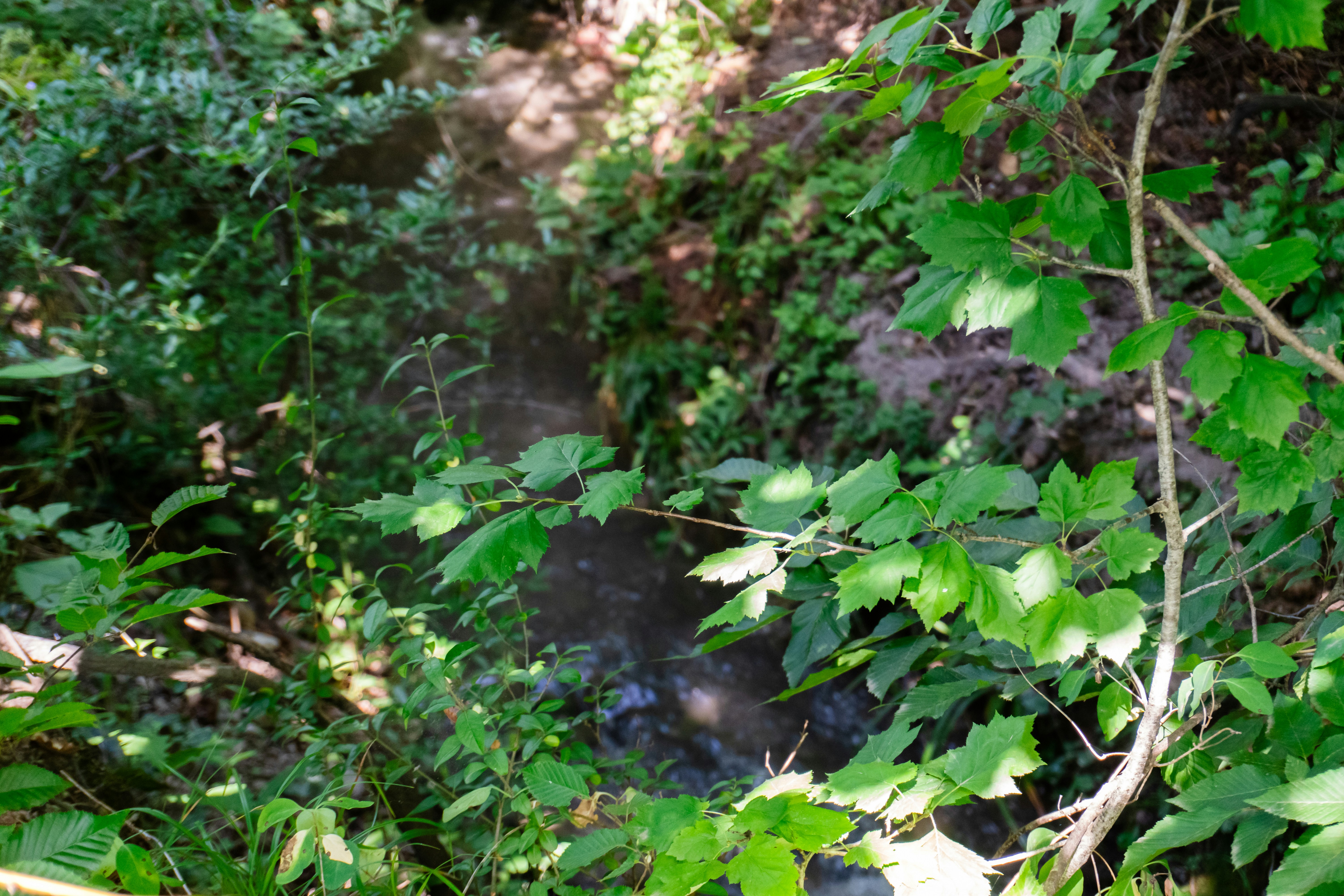 Photo by zulfugarkarimov