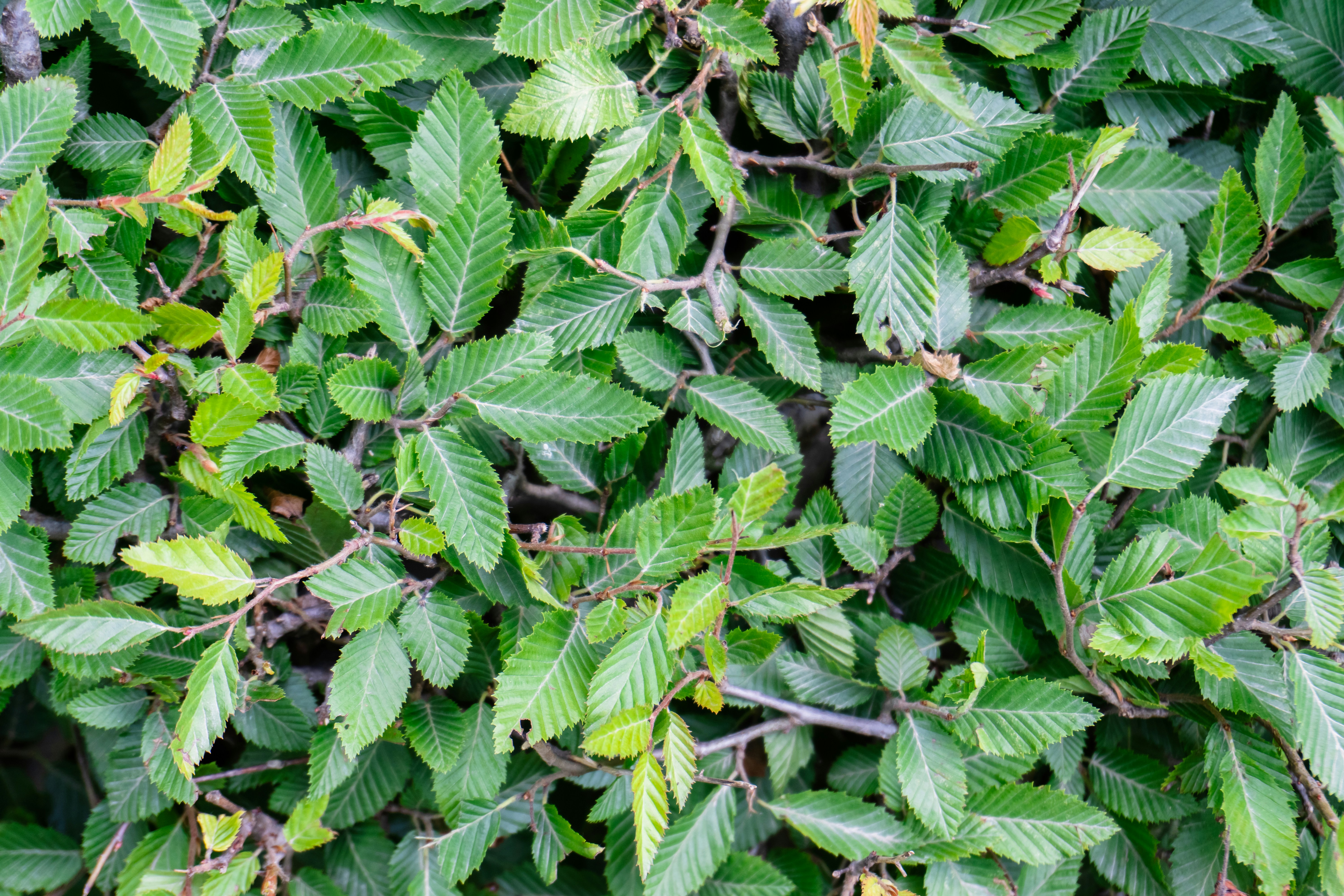 Photo by zulfugarkarimov