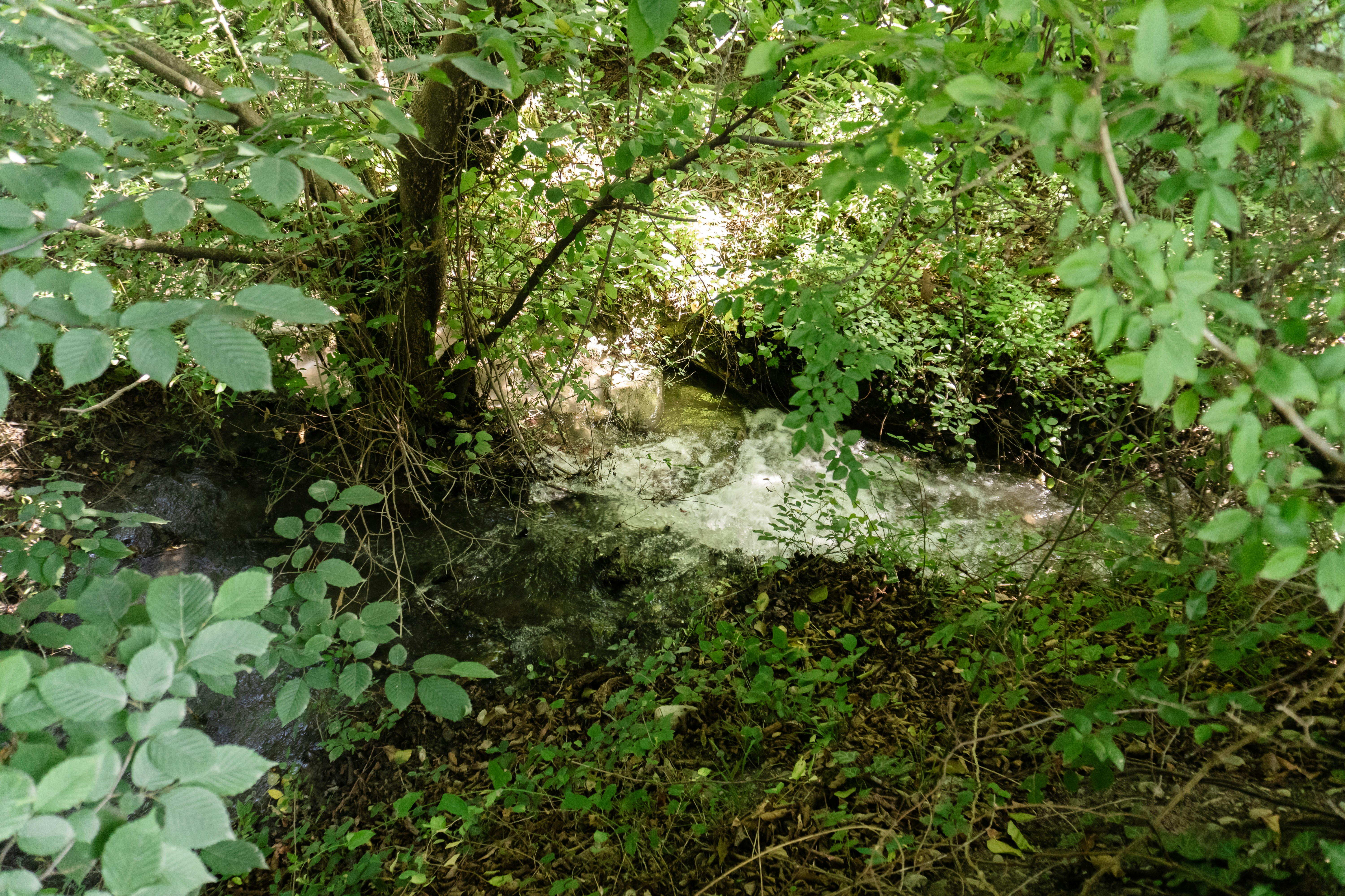 Photo by zulfugarkarimov