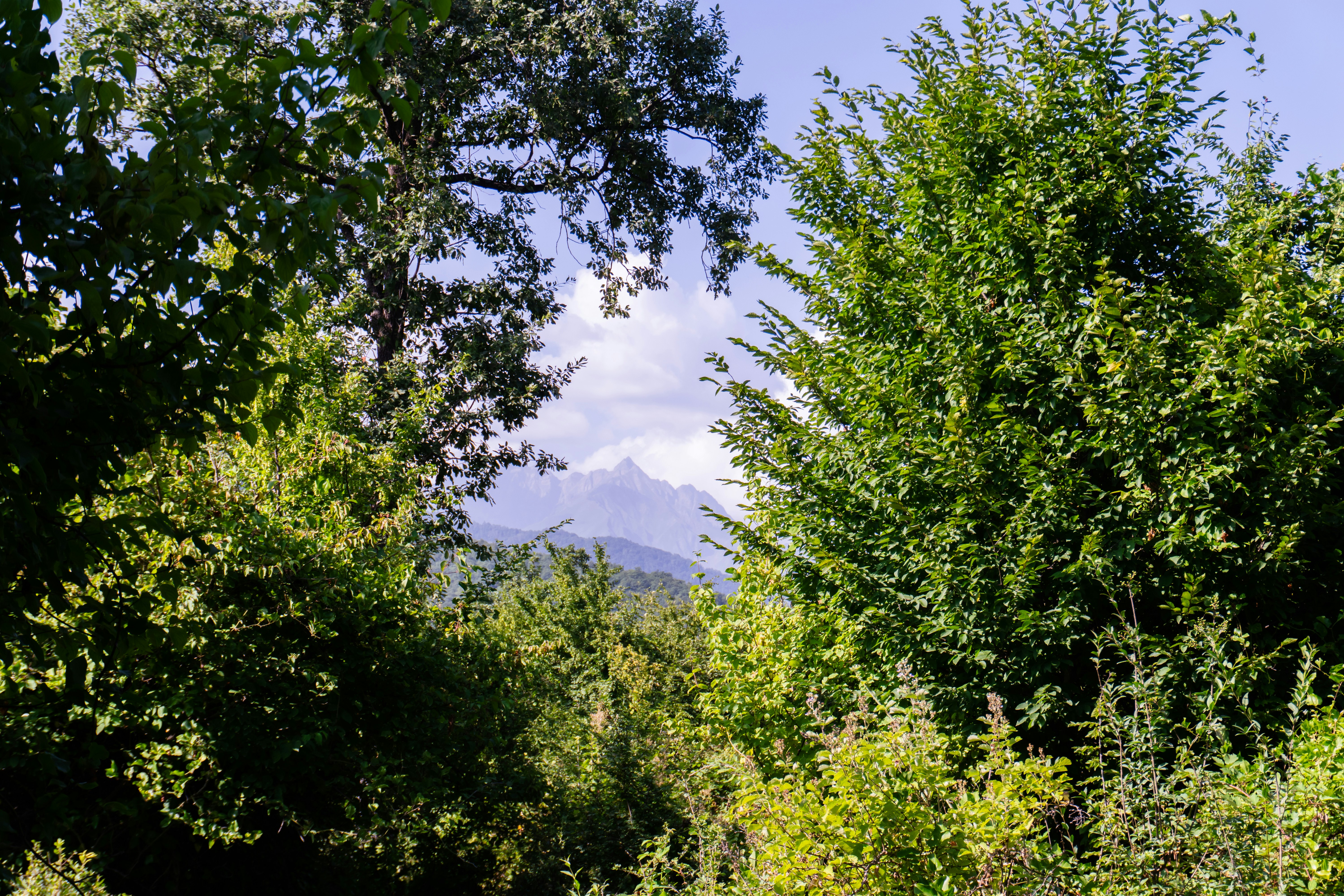 Photo by zulfugarkarimov