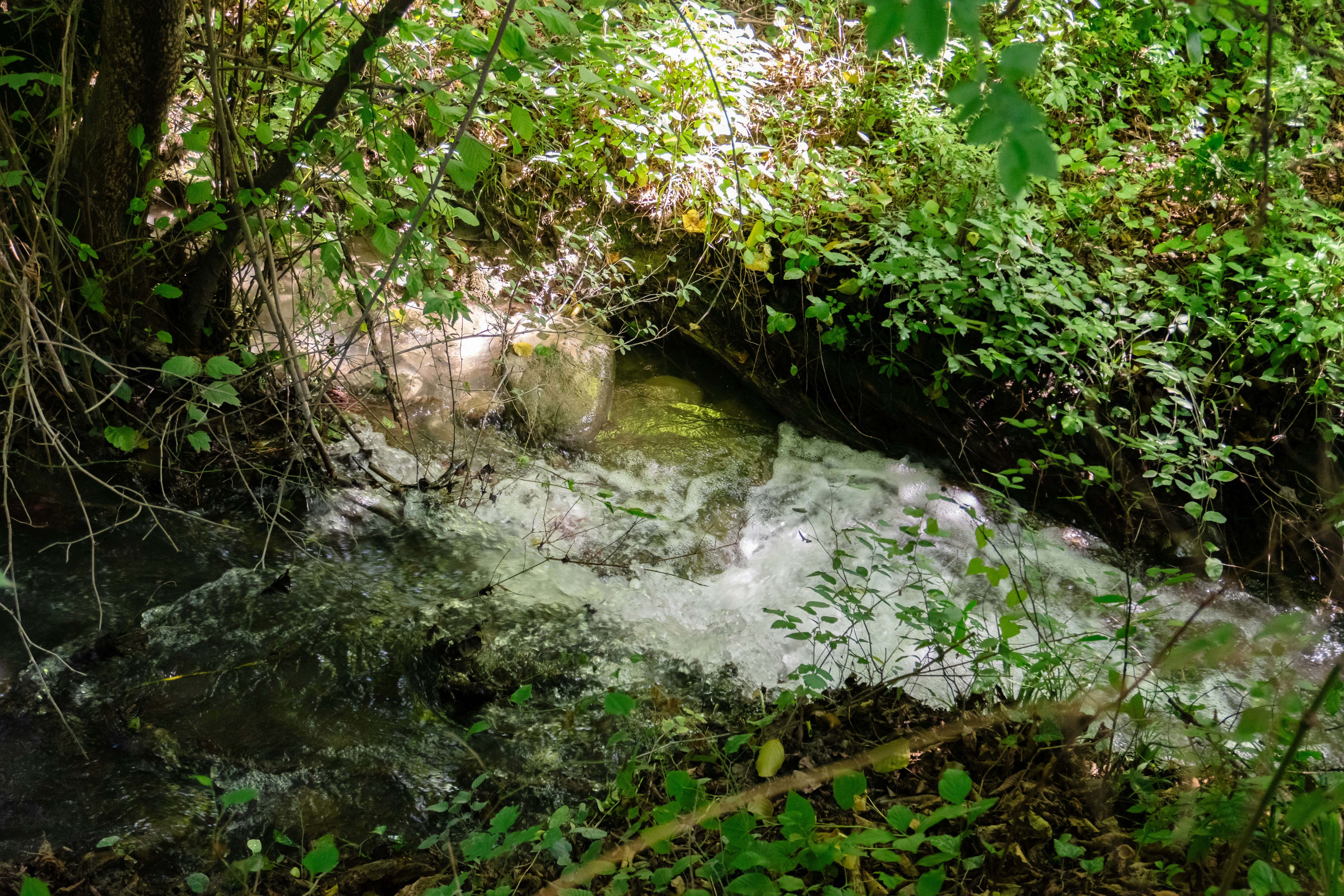 Photo by zulfugarkarimov