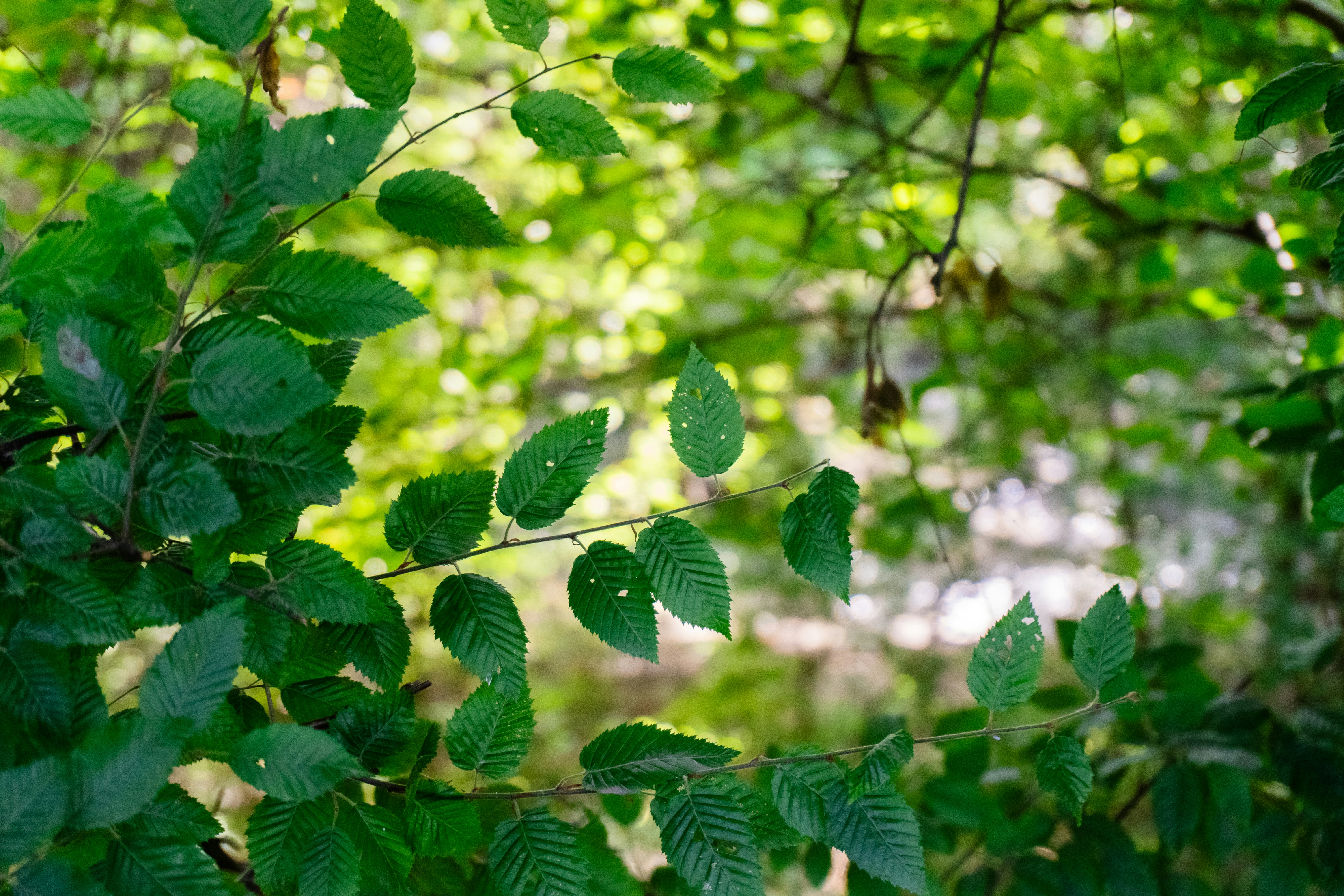 Photo by zulfugarkarimov