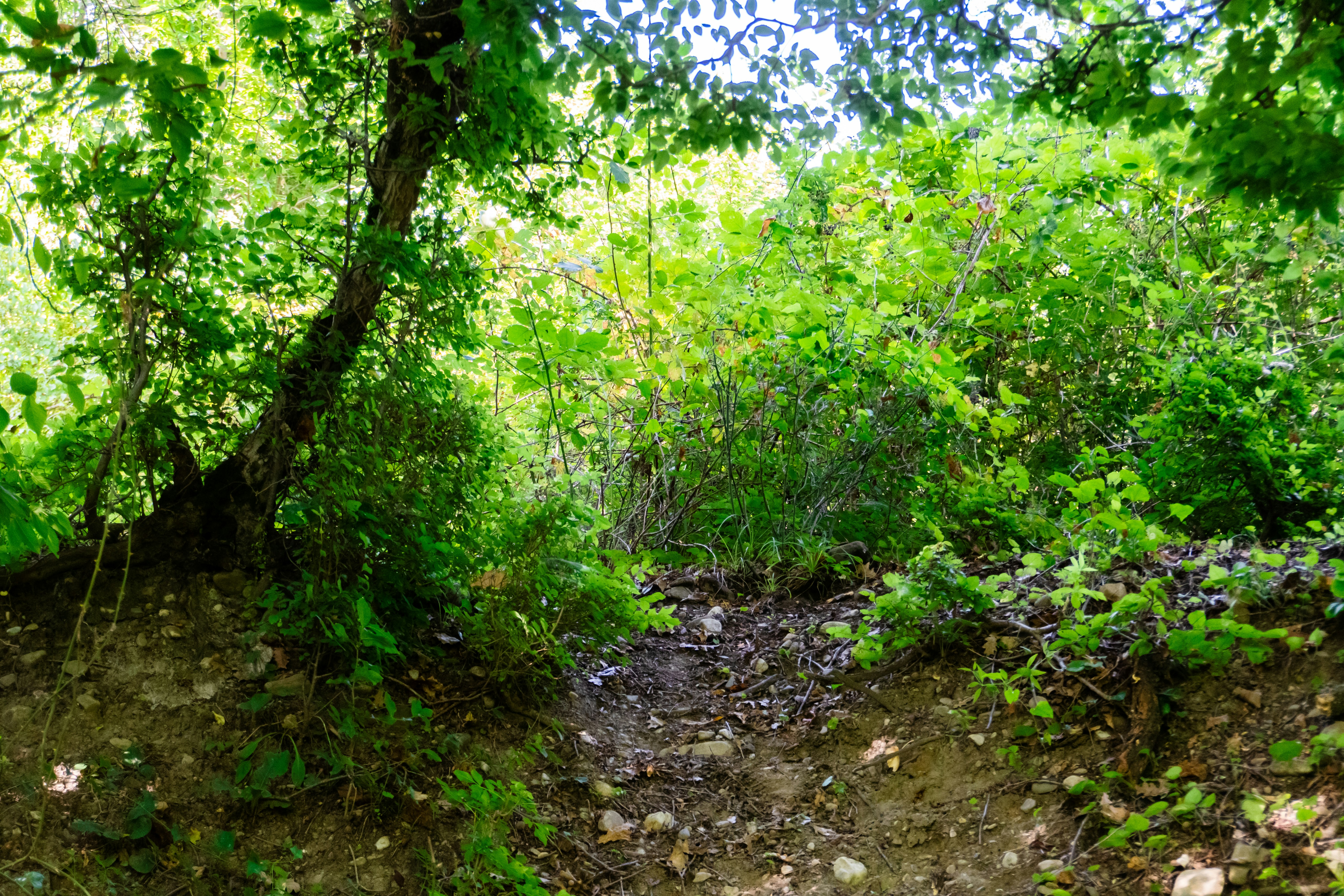 Photo by zulfugarkarimov