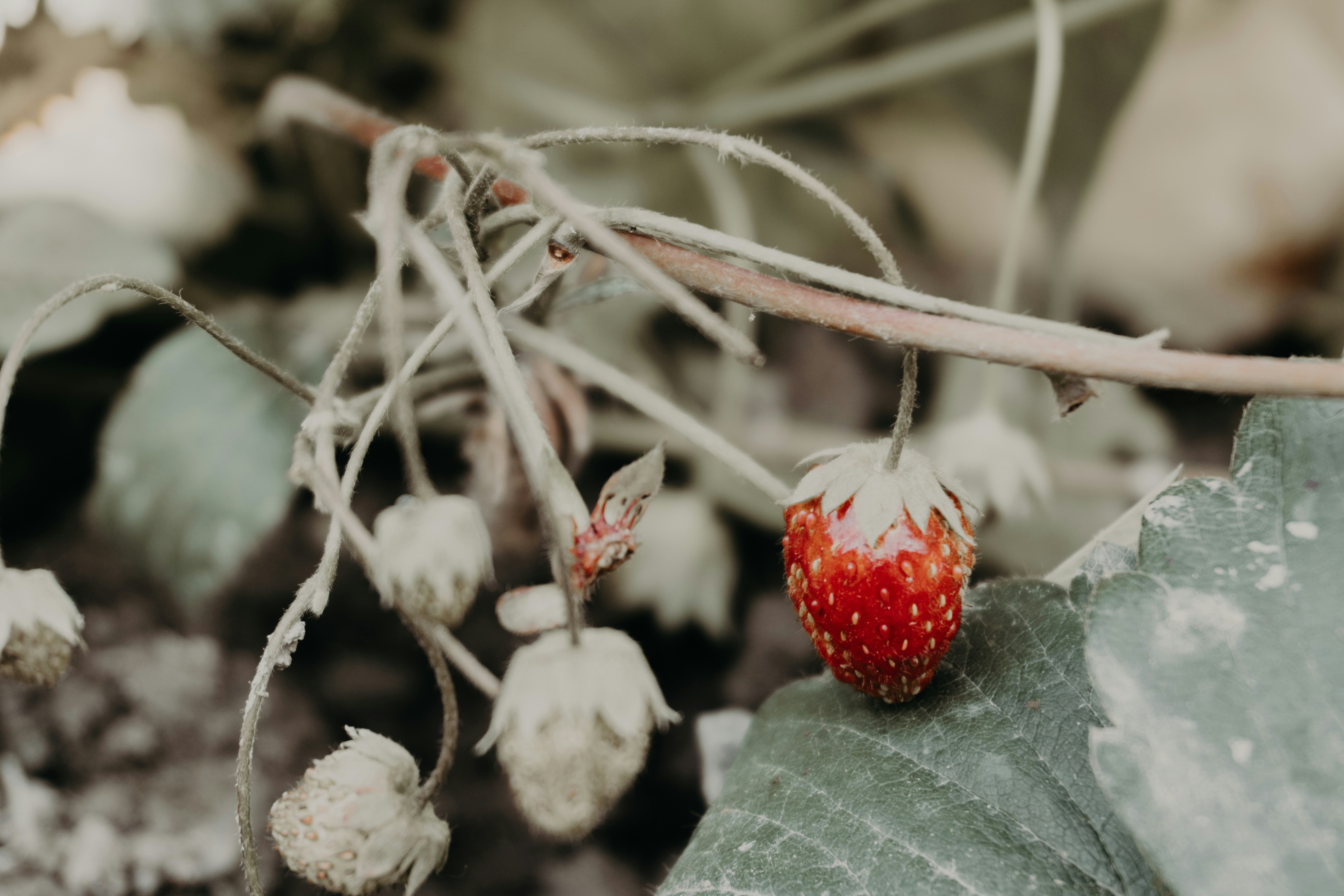 Photo by zulfugarkarimov