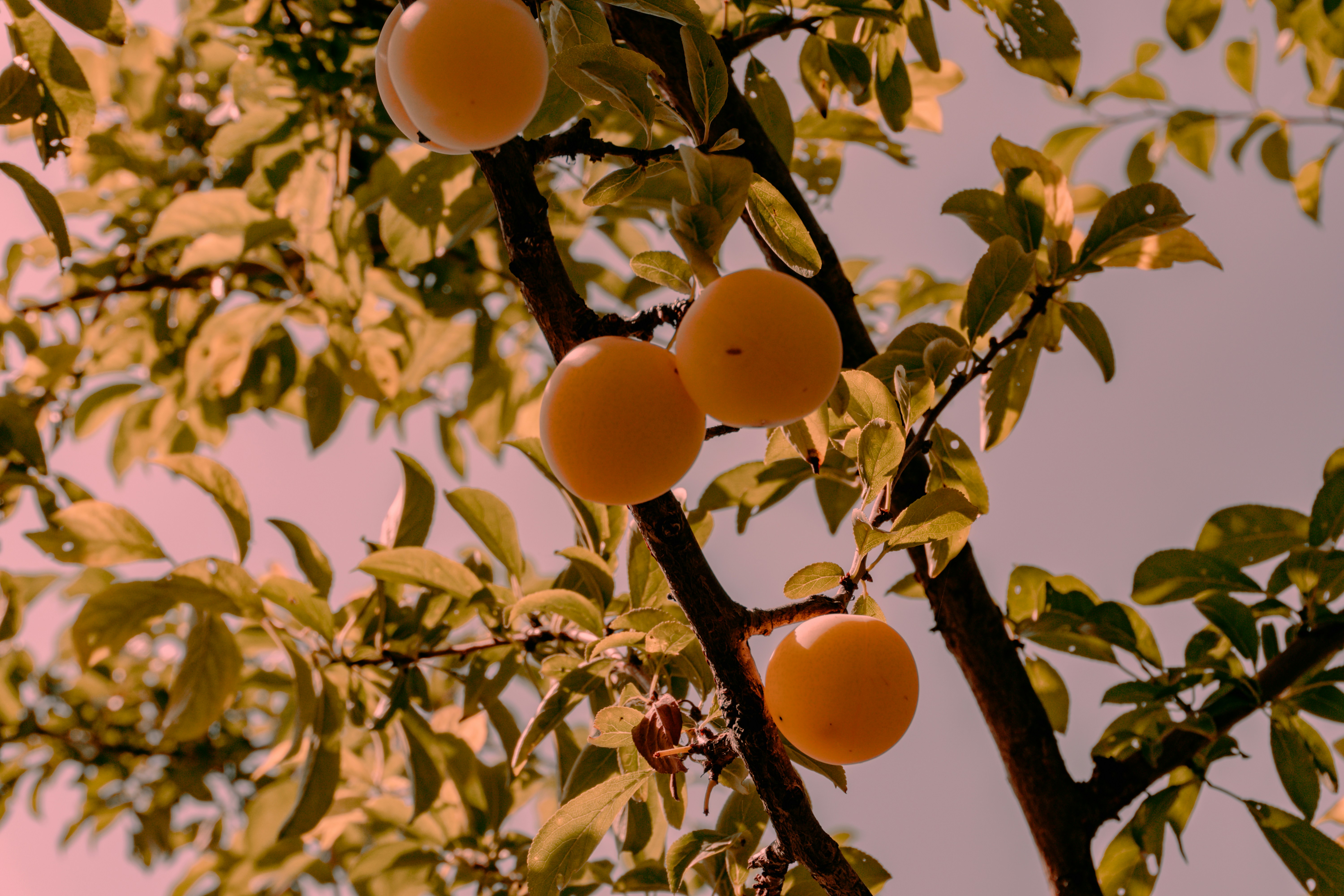 Photo by zulfugarkarimov