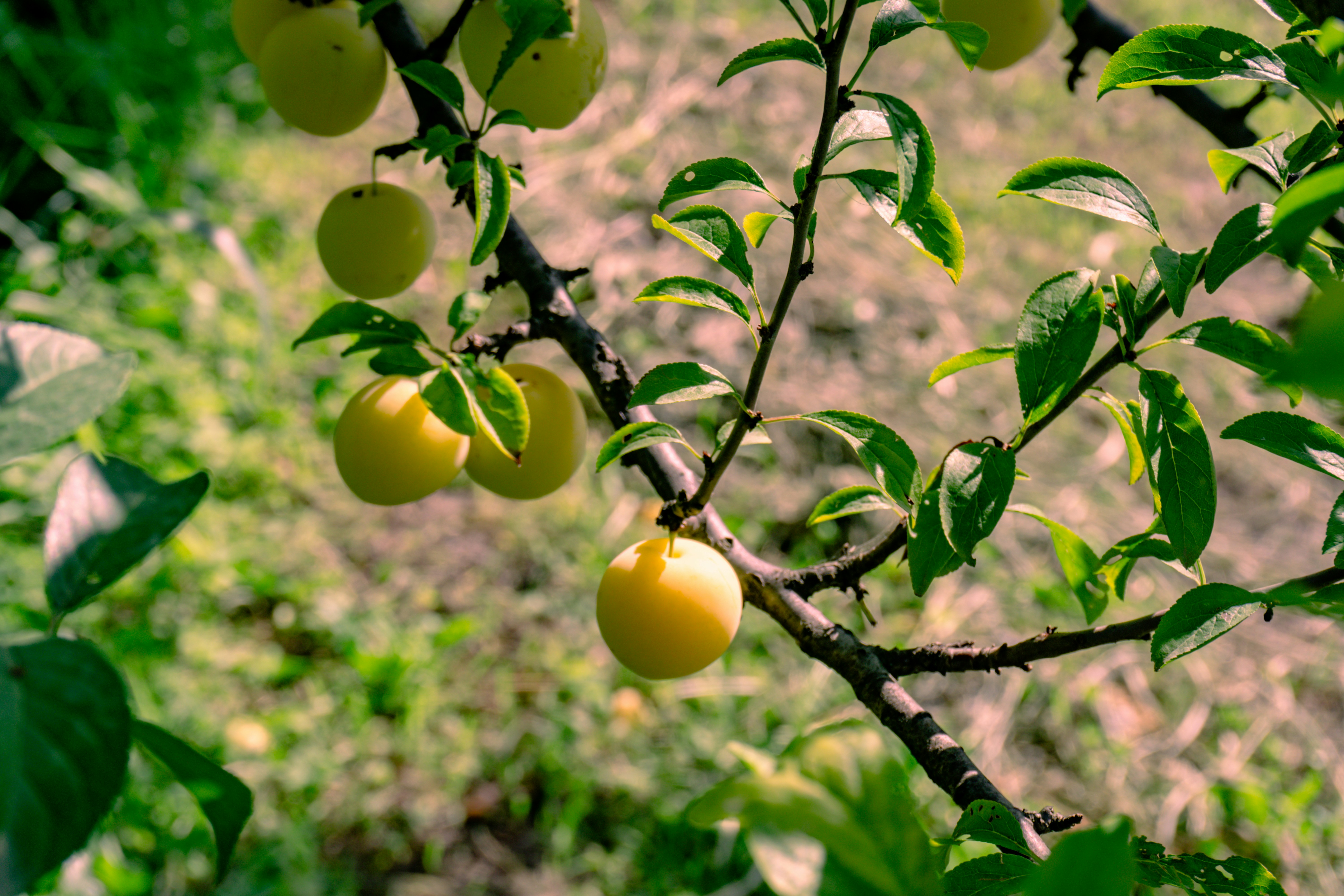 Photo by zulfugarkarimov