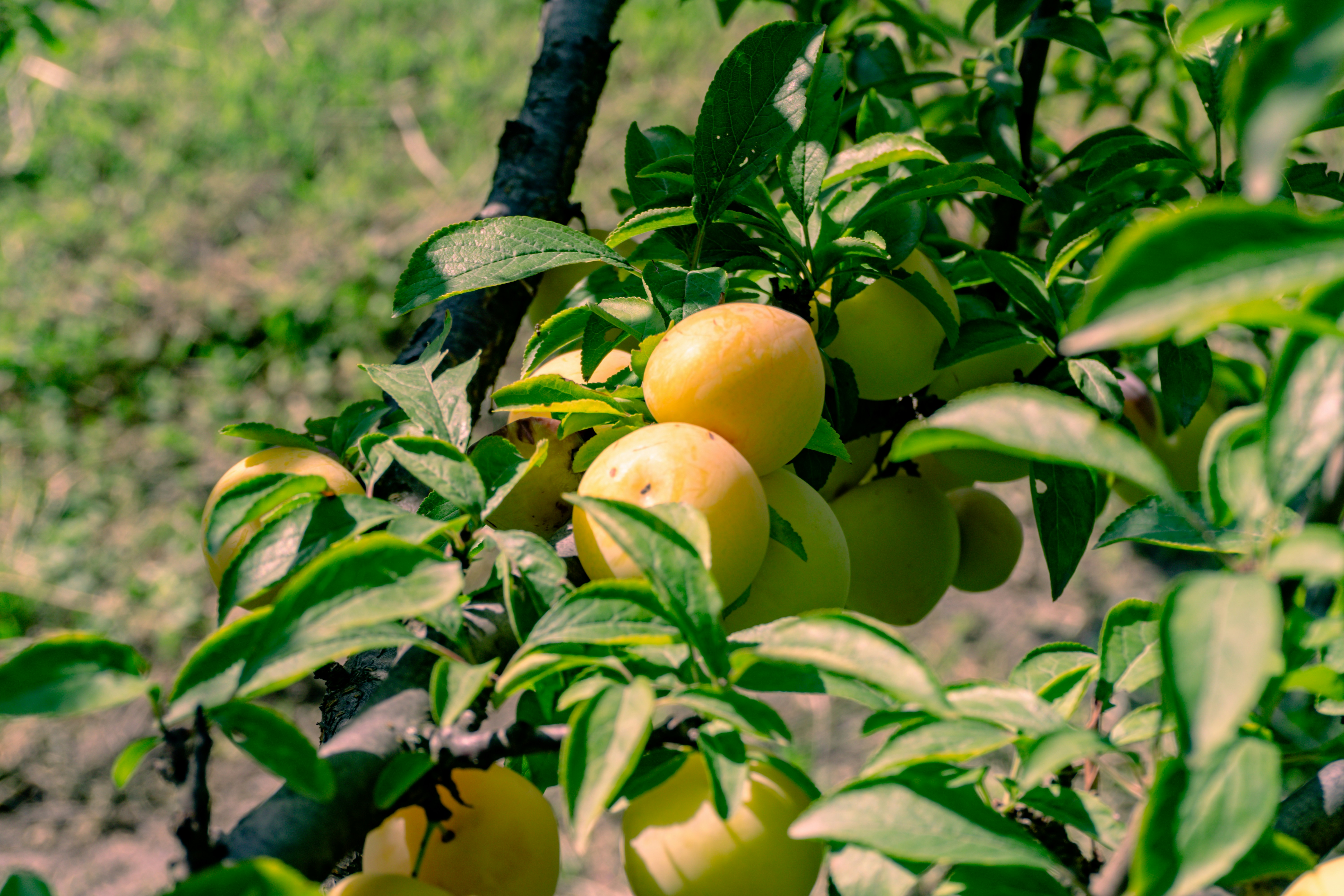 Photo by zulfugarkarimov