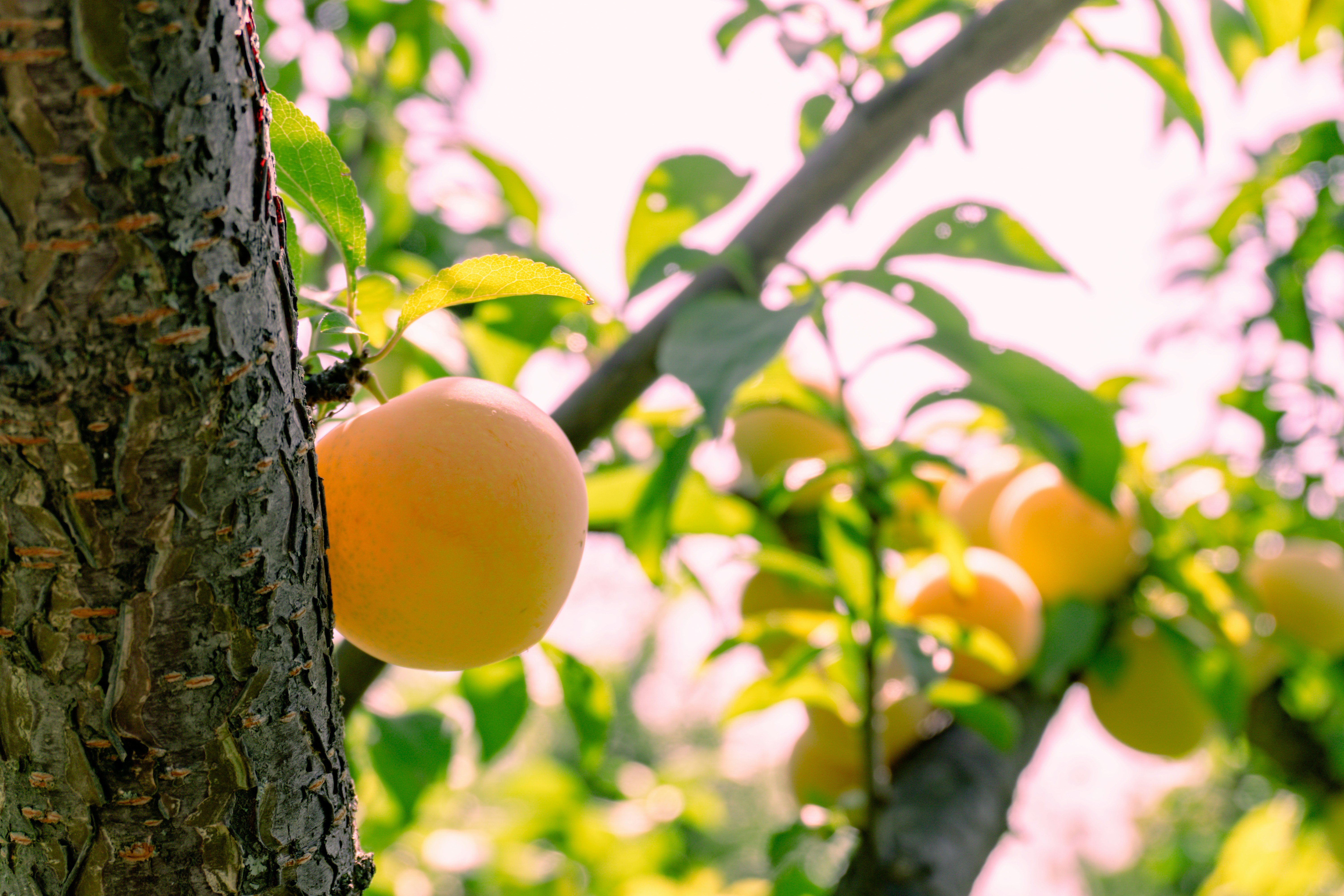 Photo by zulfugarkarimov