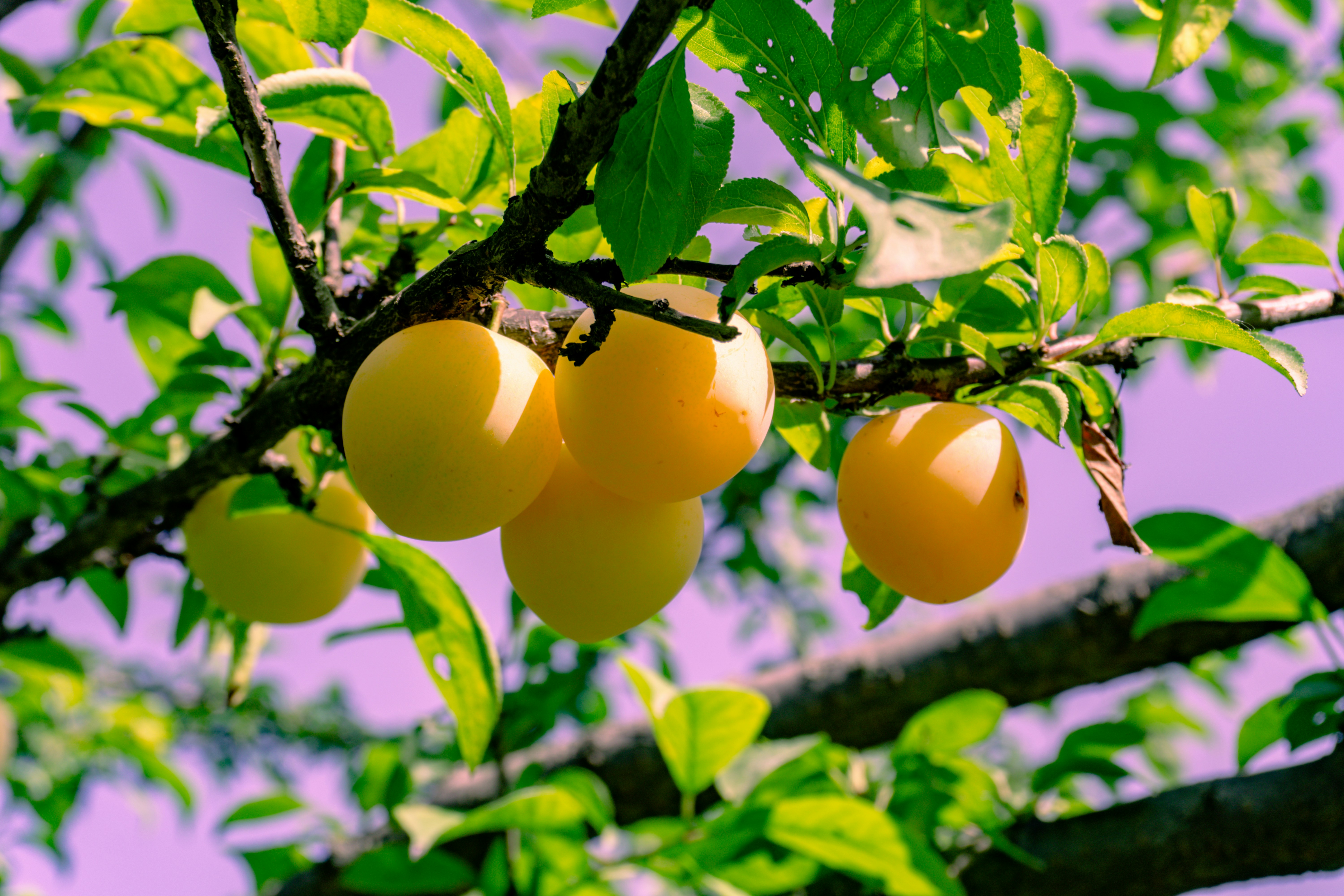 Photo by zulfugarkarimov