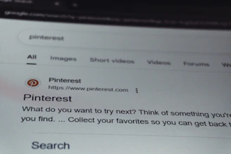 Search results page for pinterest on a screen.