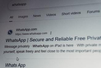 Whatsapp search results on a computer screen.