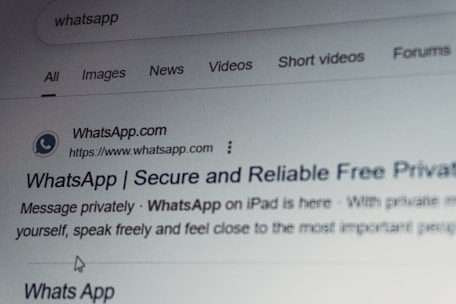 Whatsapp search results on a computer screen.