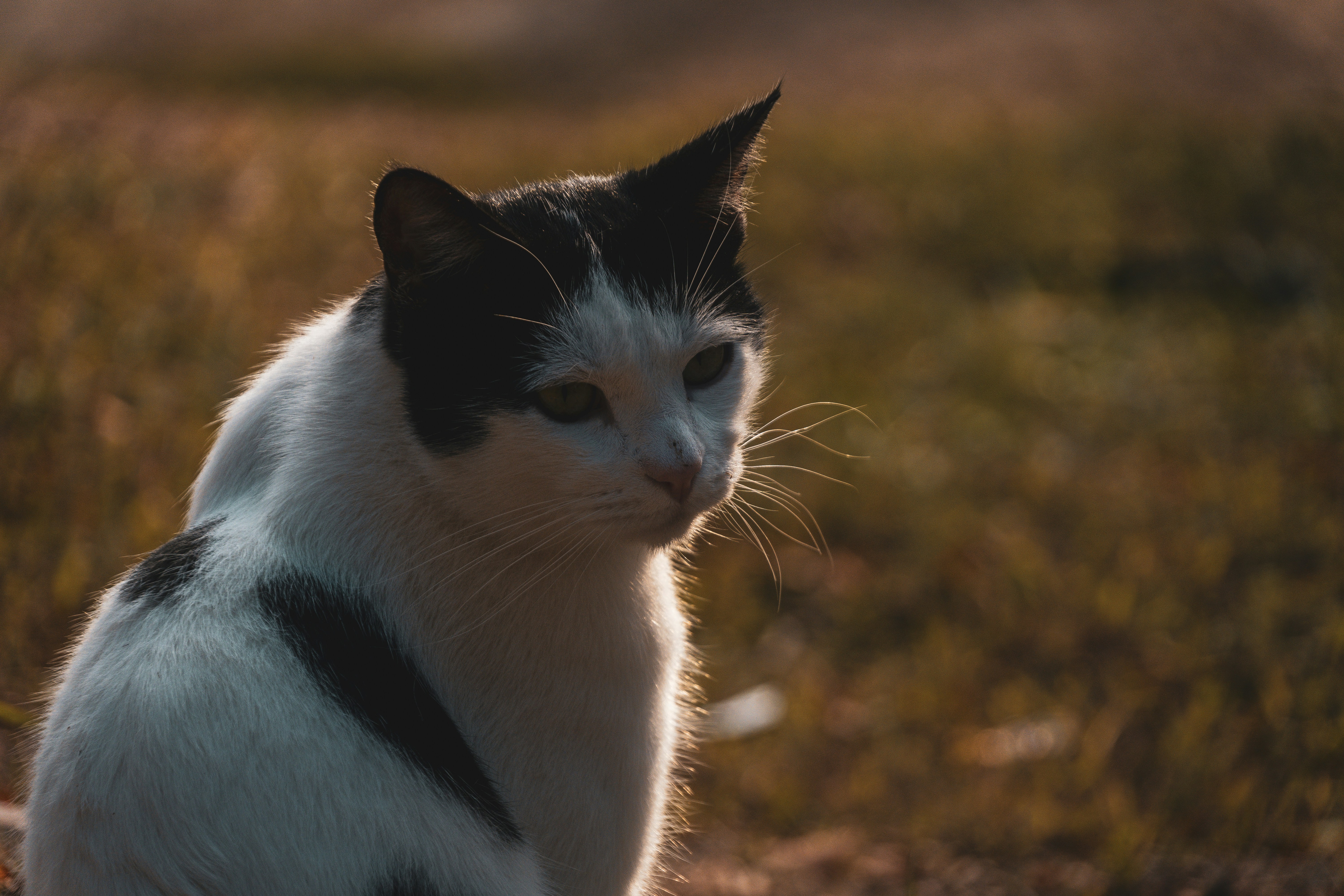 Photo by tunahankuzgun