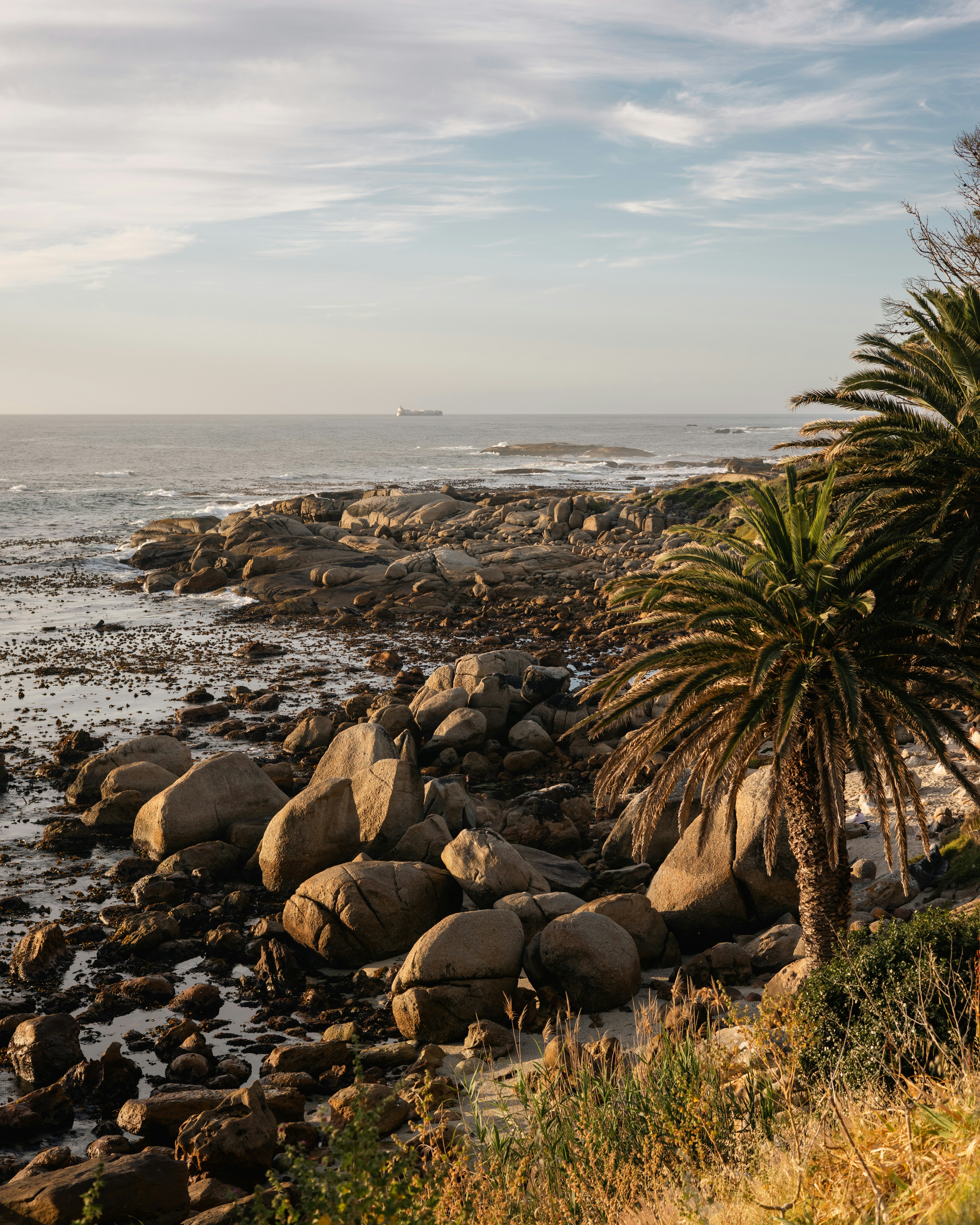 Rocky coastline with palm trees and ocean view