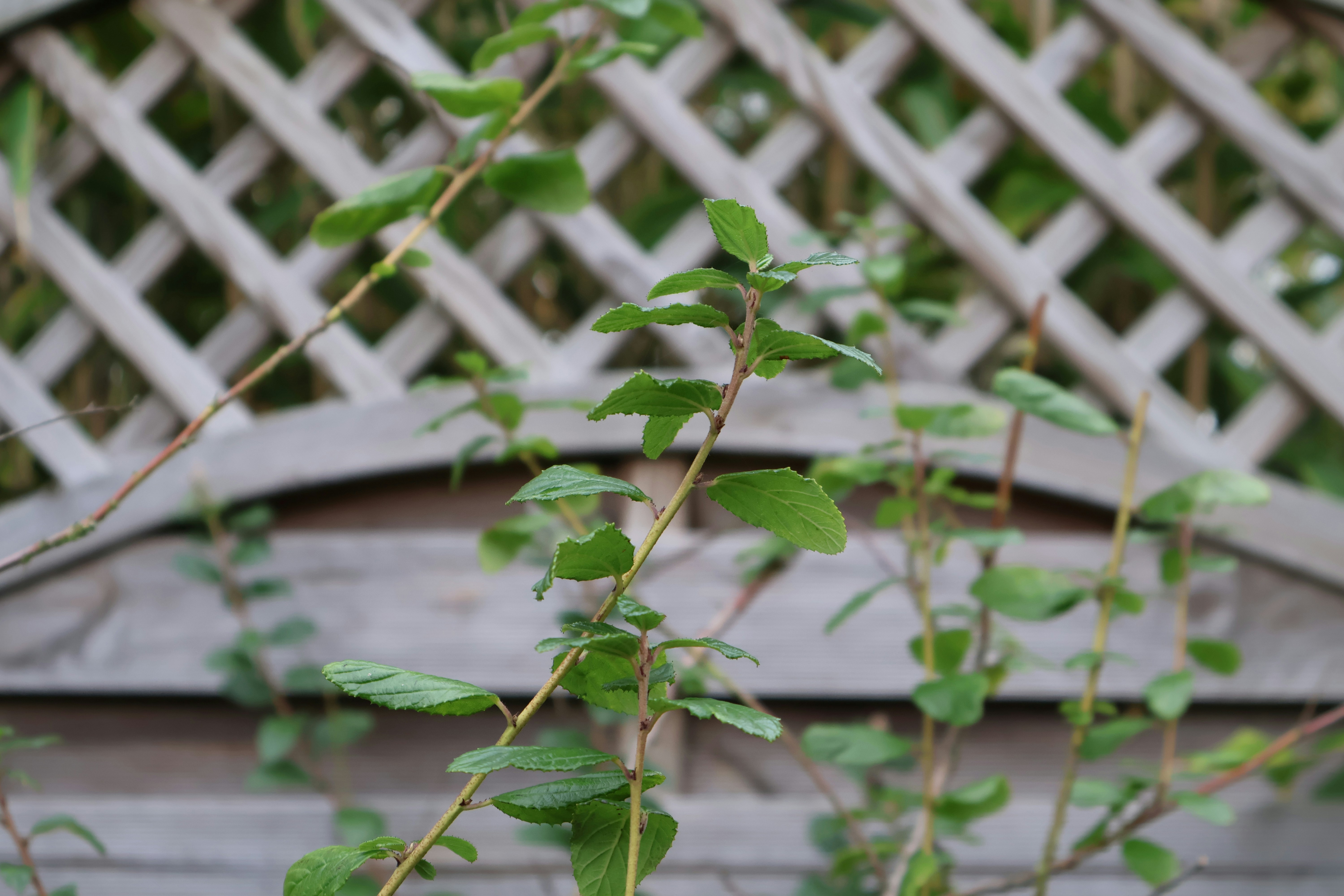 Photo by tanyabarrow