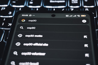 Smartphone displaying search results for cop30