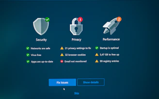 Security, privacy, and performance status with fix options.