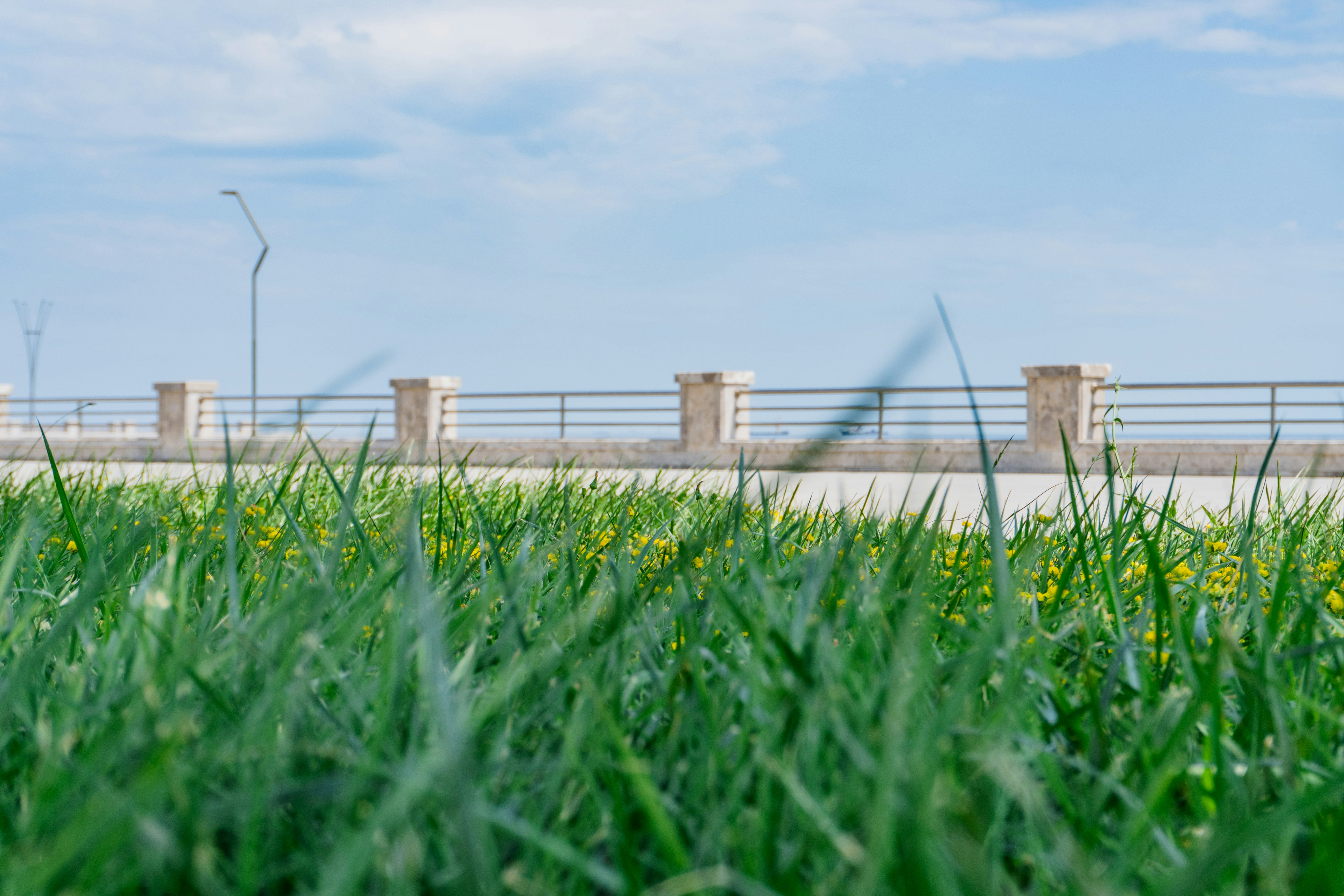 Photo by zulfugarkarimov