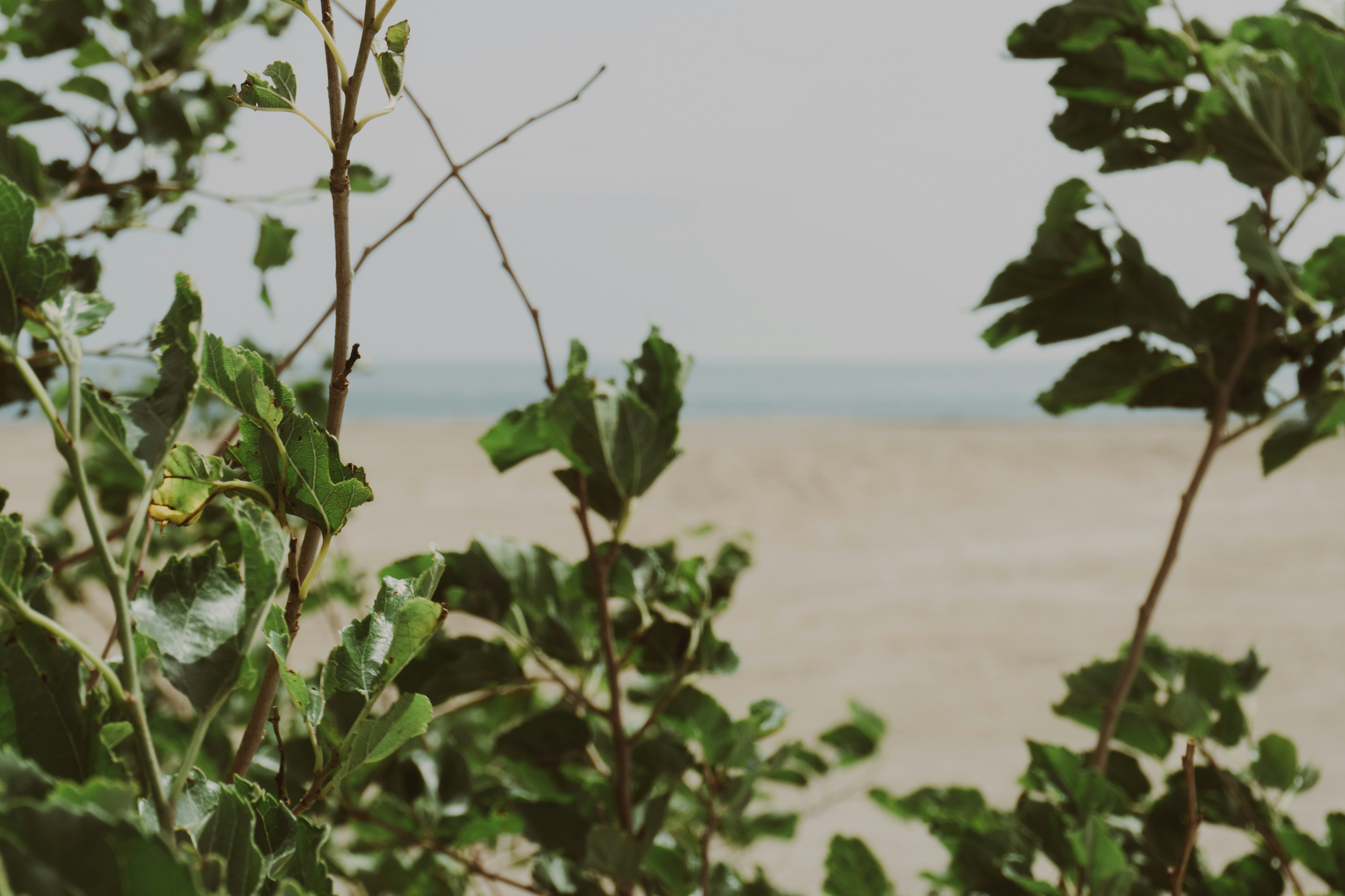 Photo by zulfugarkarimov