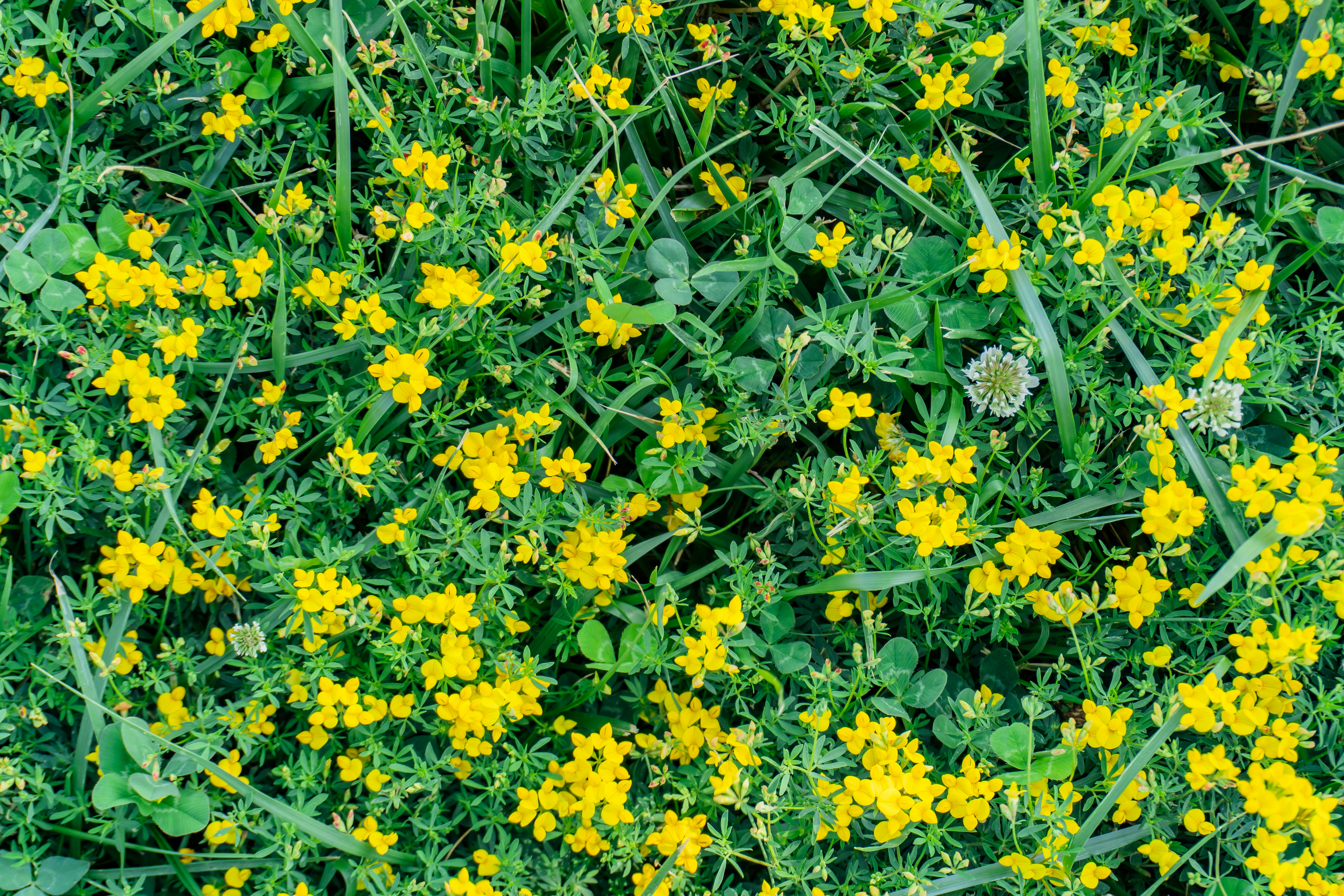 Photo by zulfugarkarimov