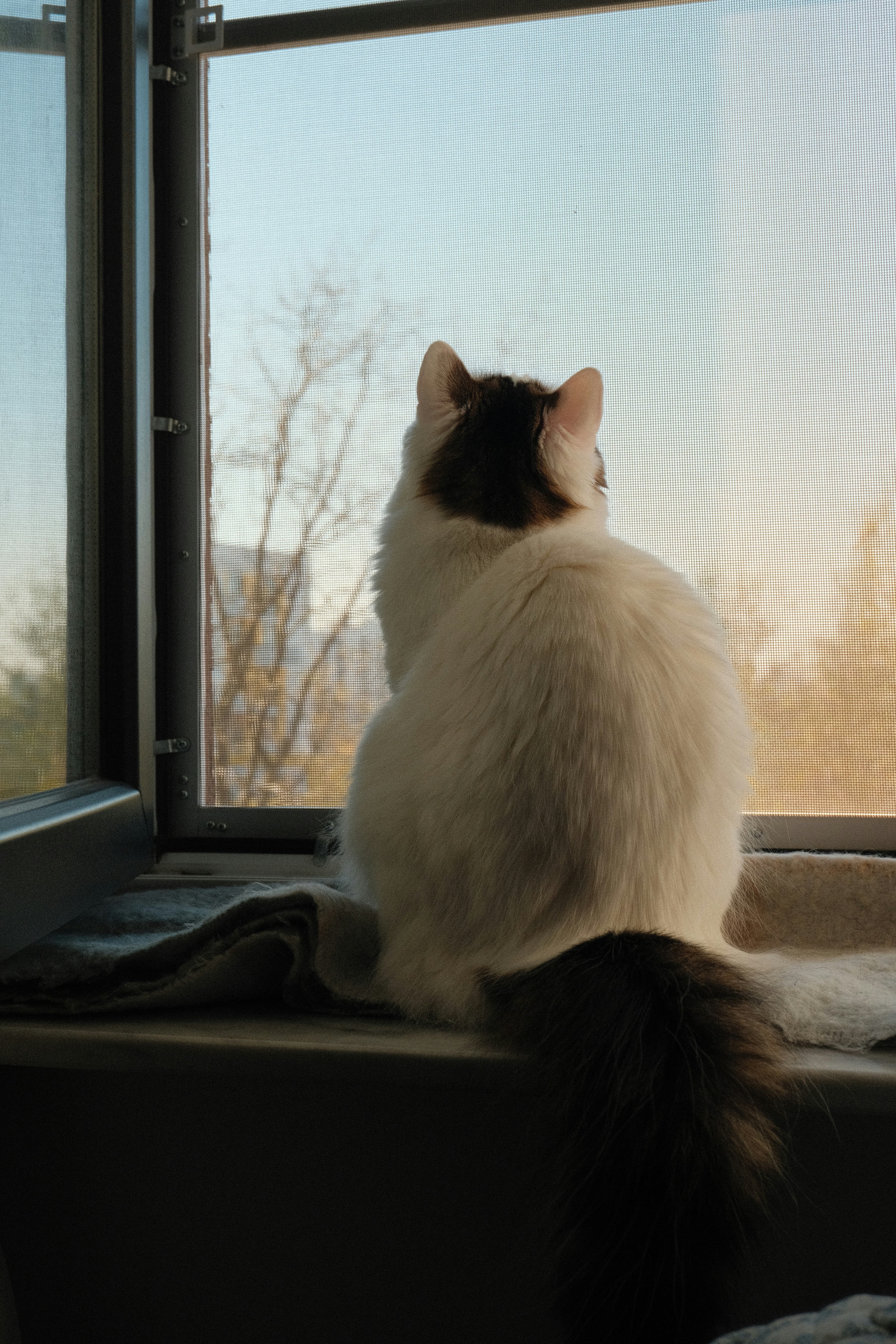 Photo by inna_yashna