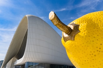 international programs