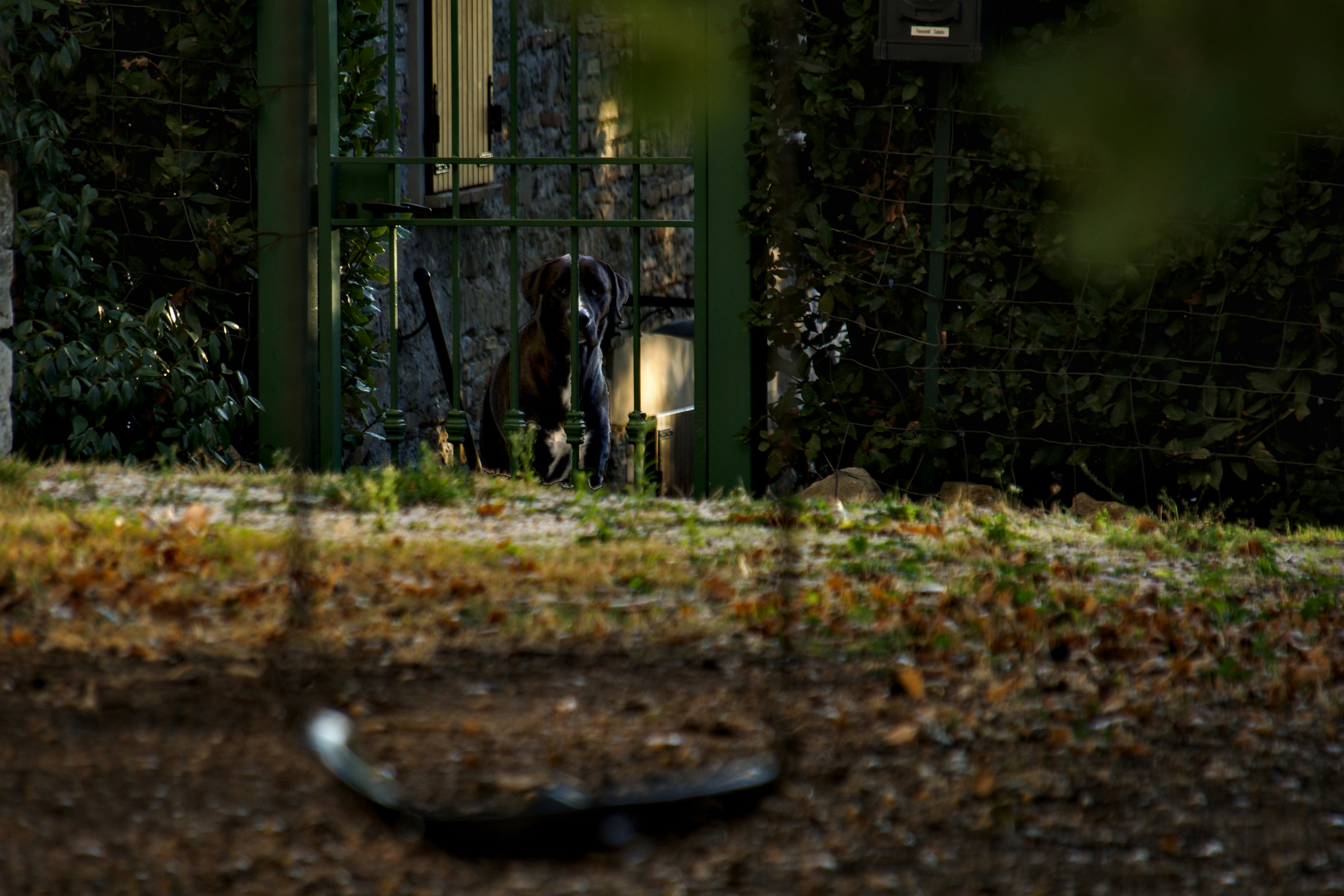 Photo by mariobeducci