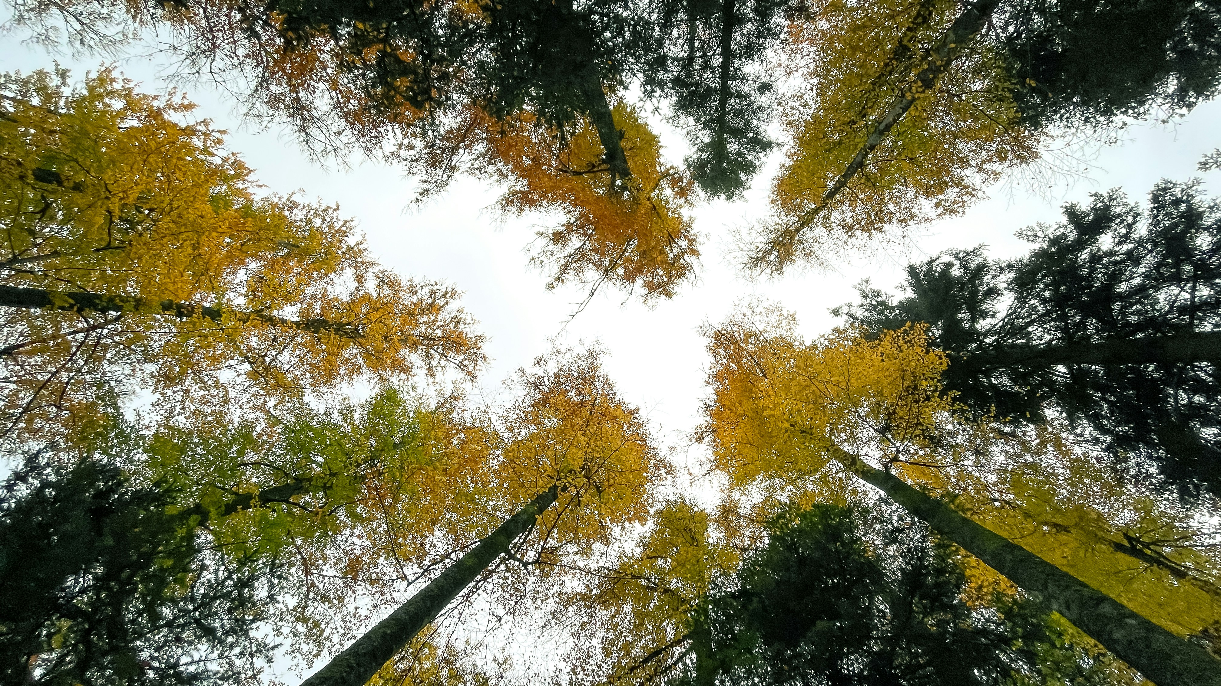 Photo by reskp