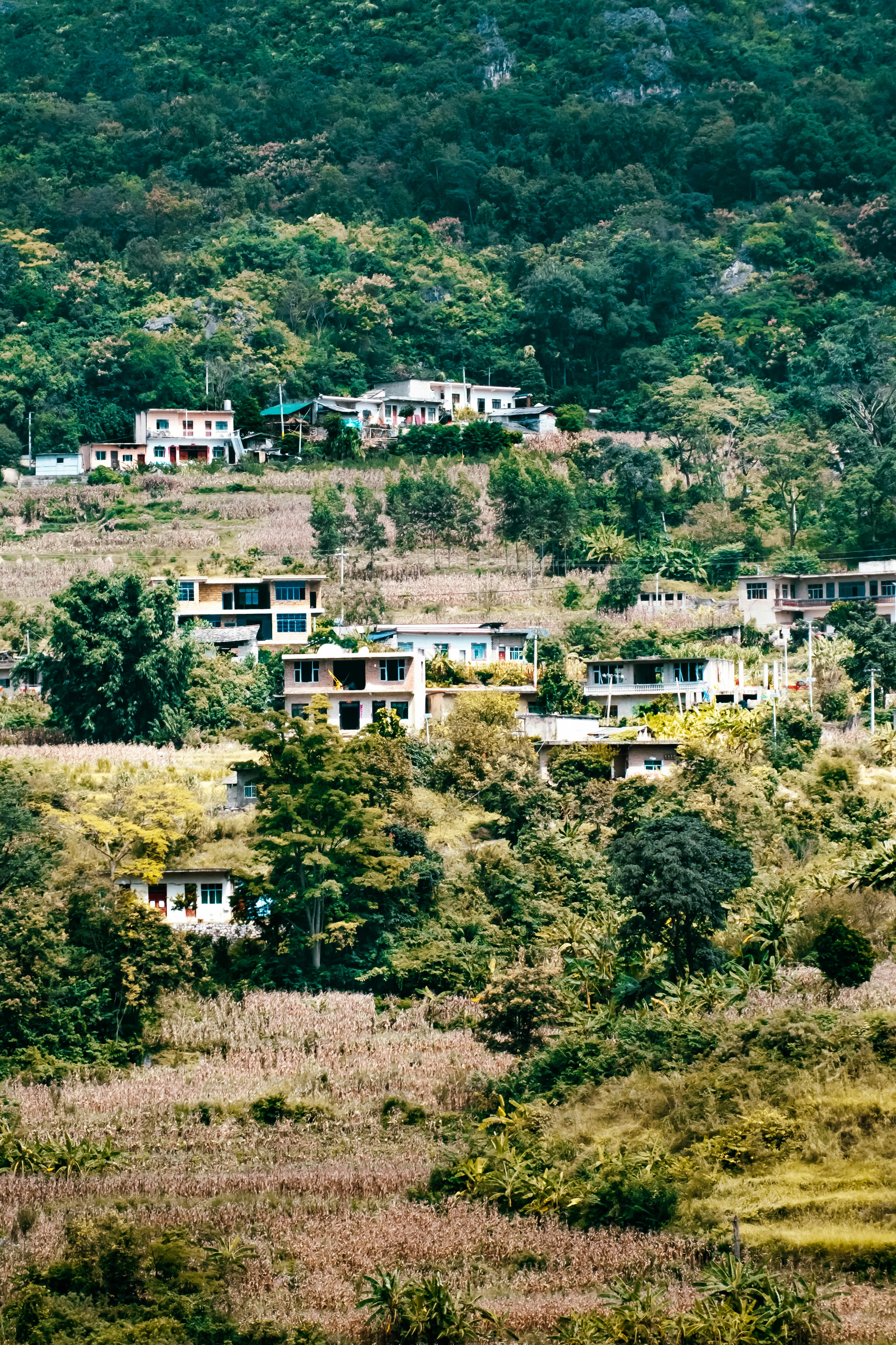 Photo by fortune1204