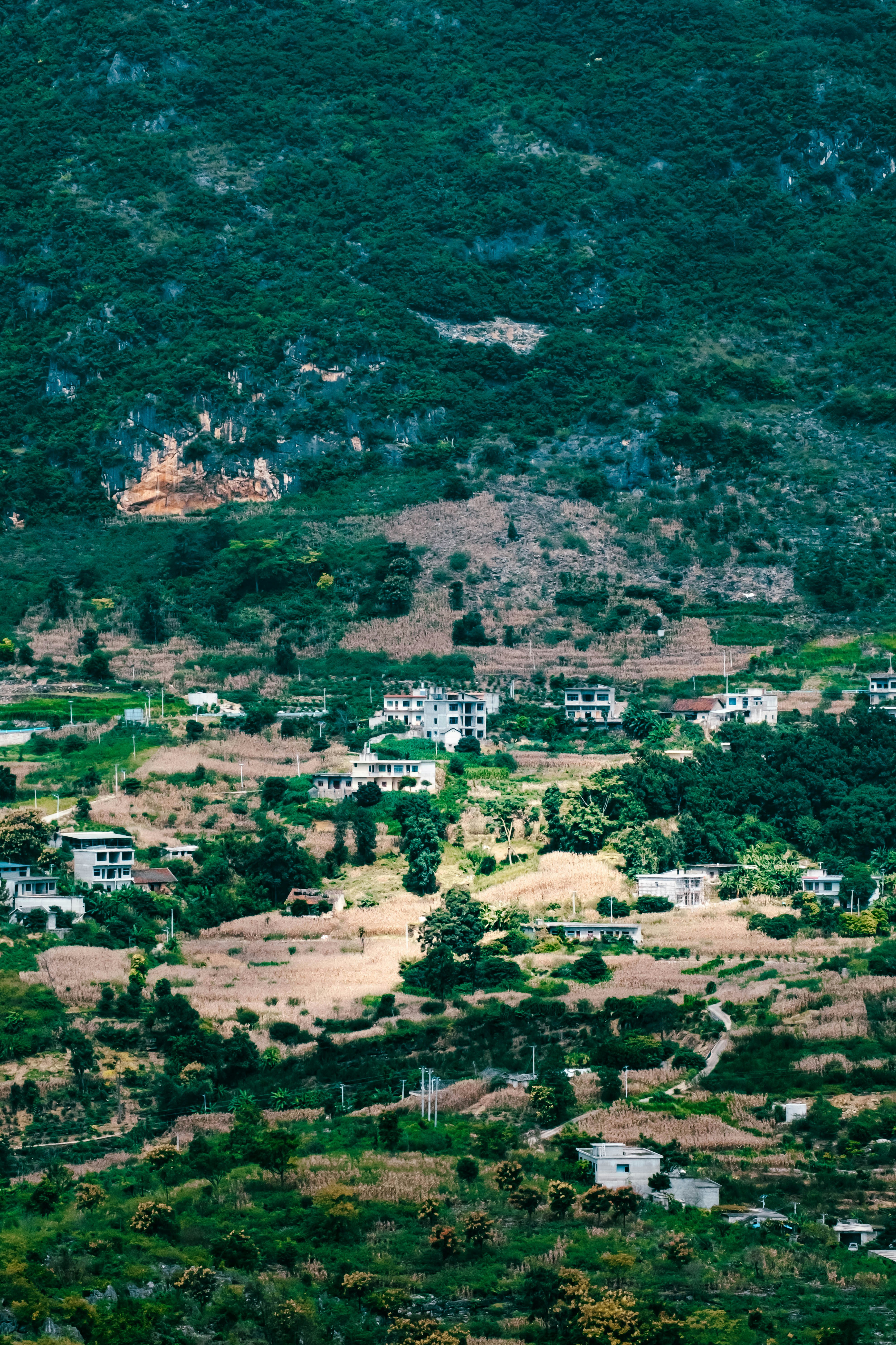 Photo by fortune1204