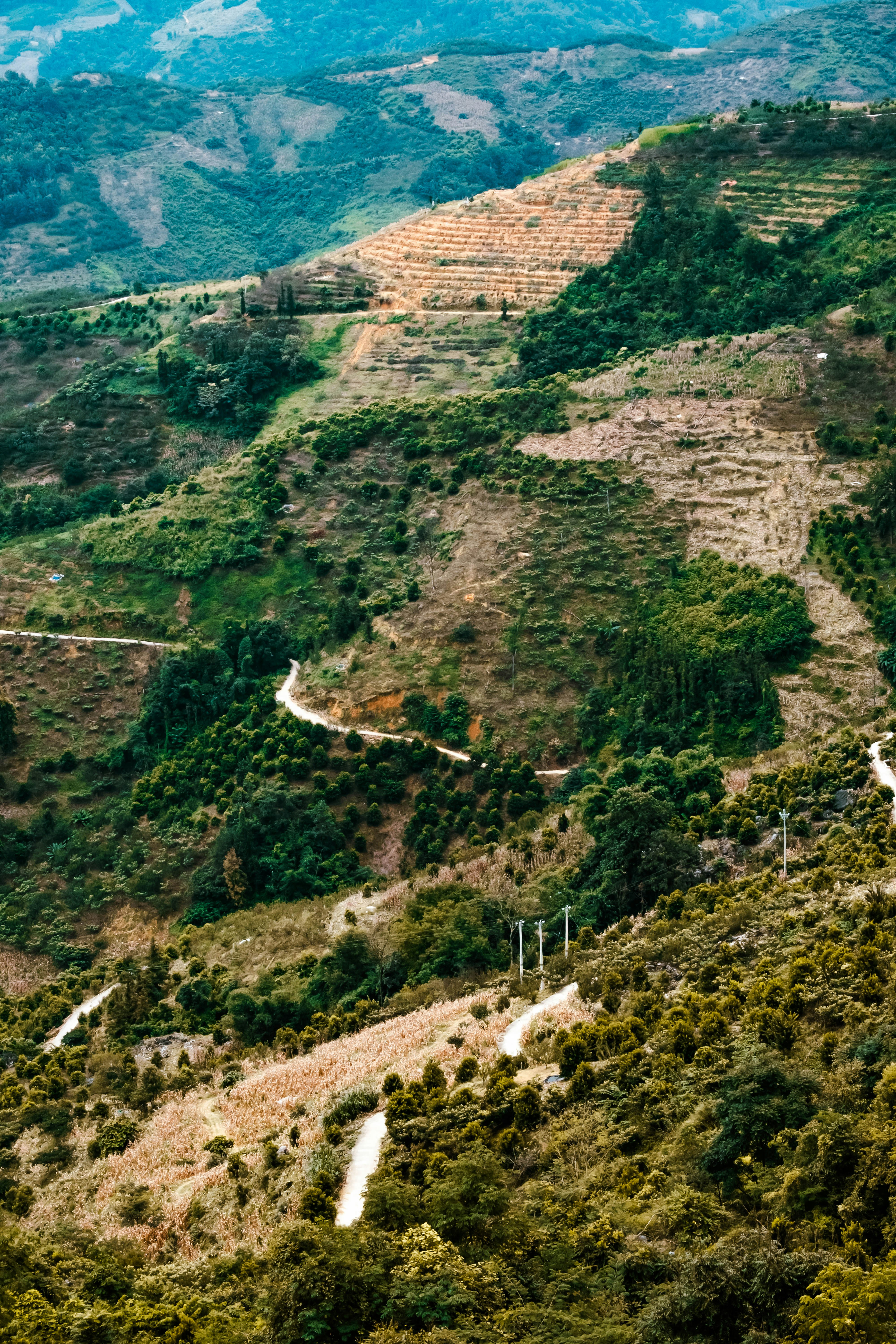 Photo by fortune1204