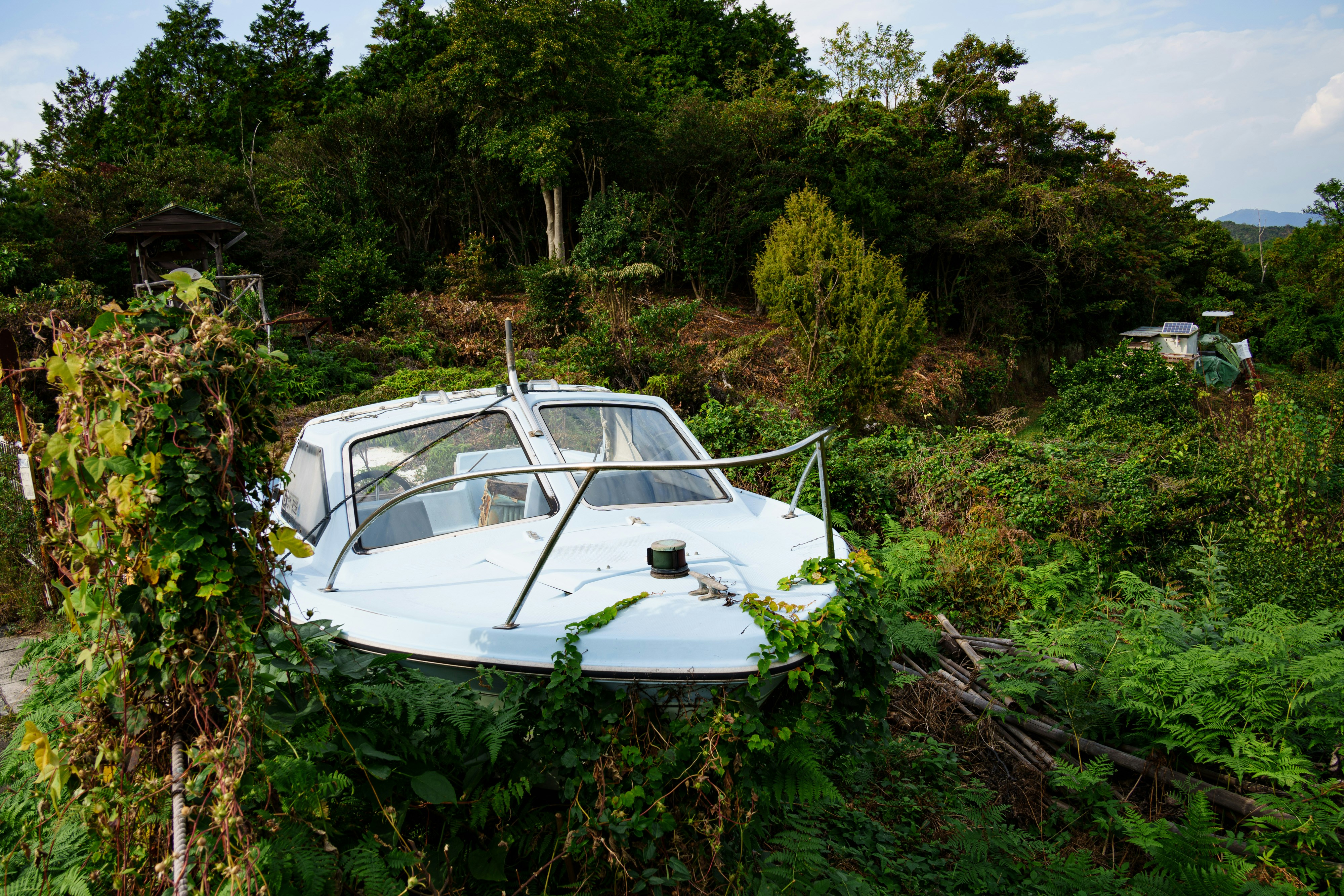 植物が生い茂った白い船