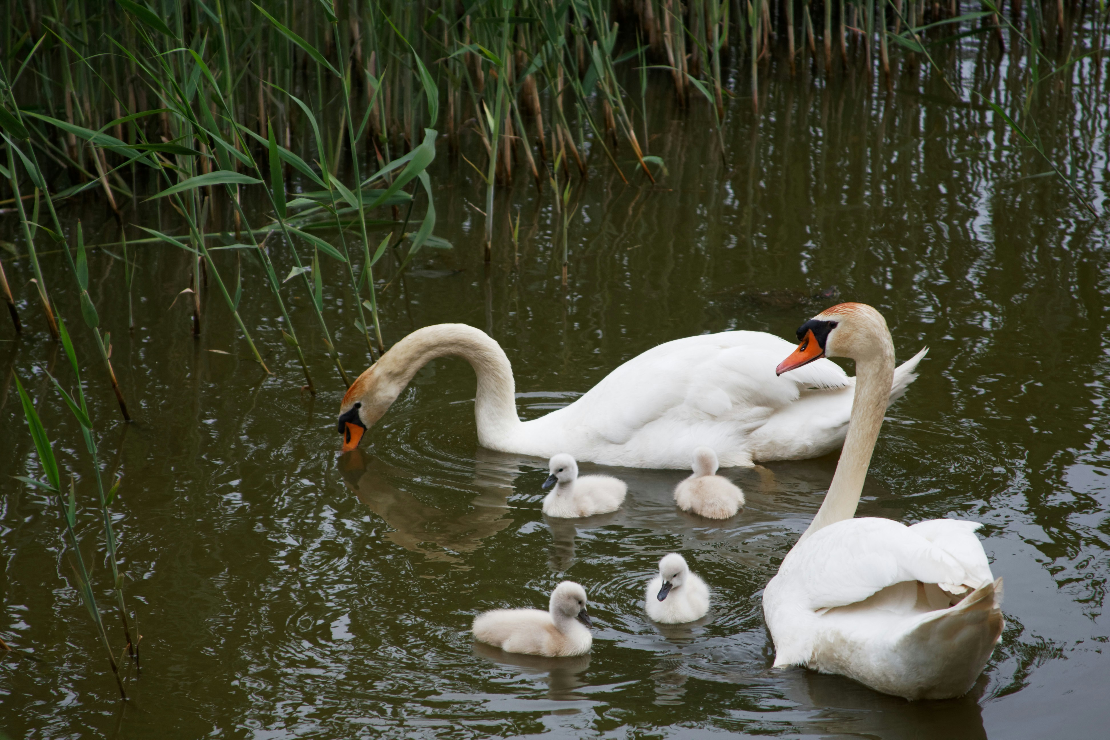 Photo by da_shika_photo